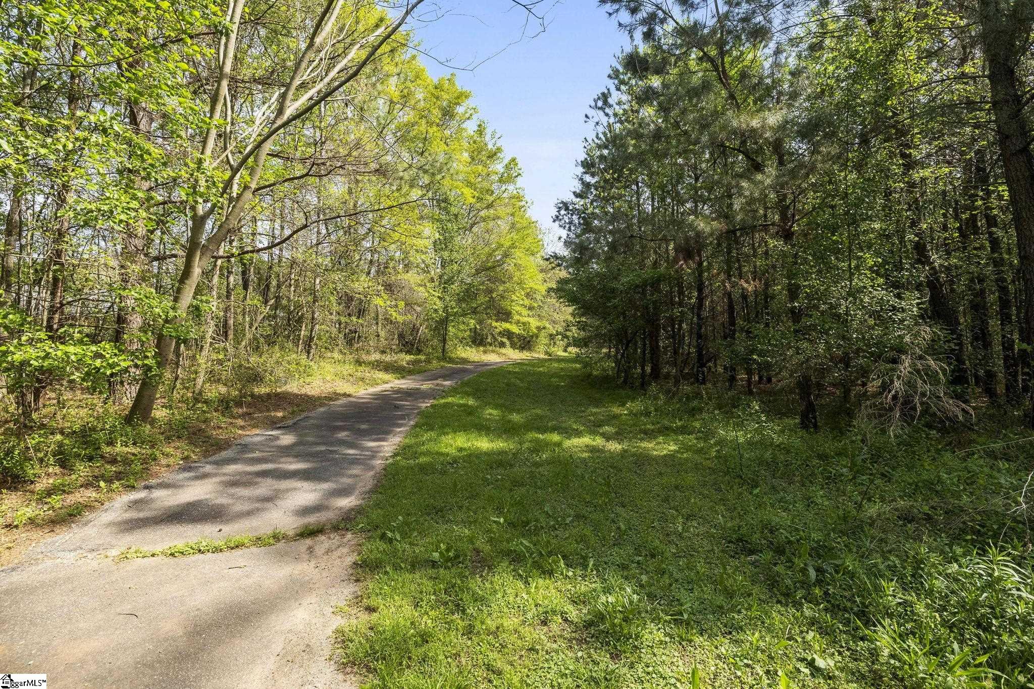 4371 Old Easley Bridge Road Property Photo 22