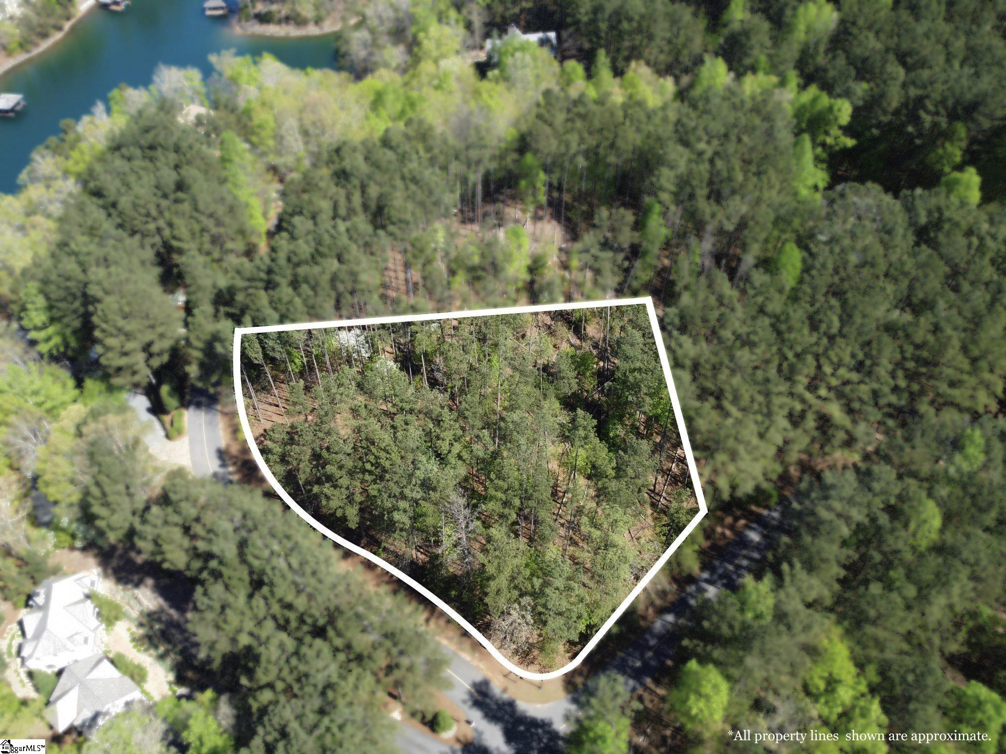 1587718 Property Photo 6