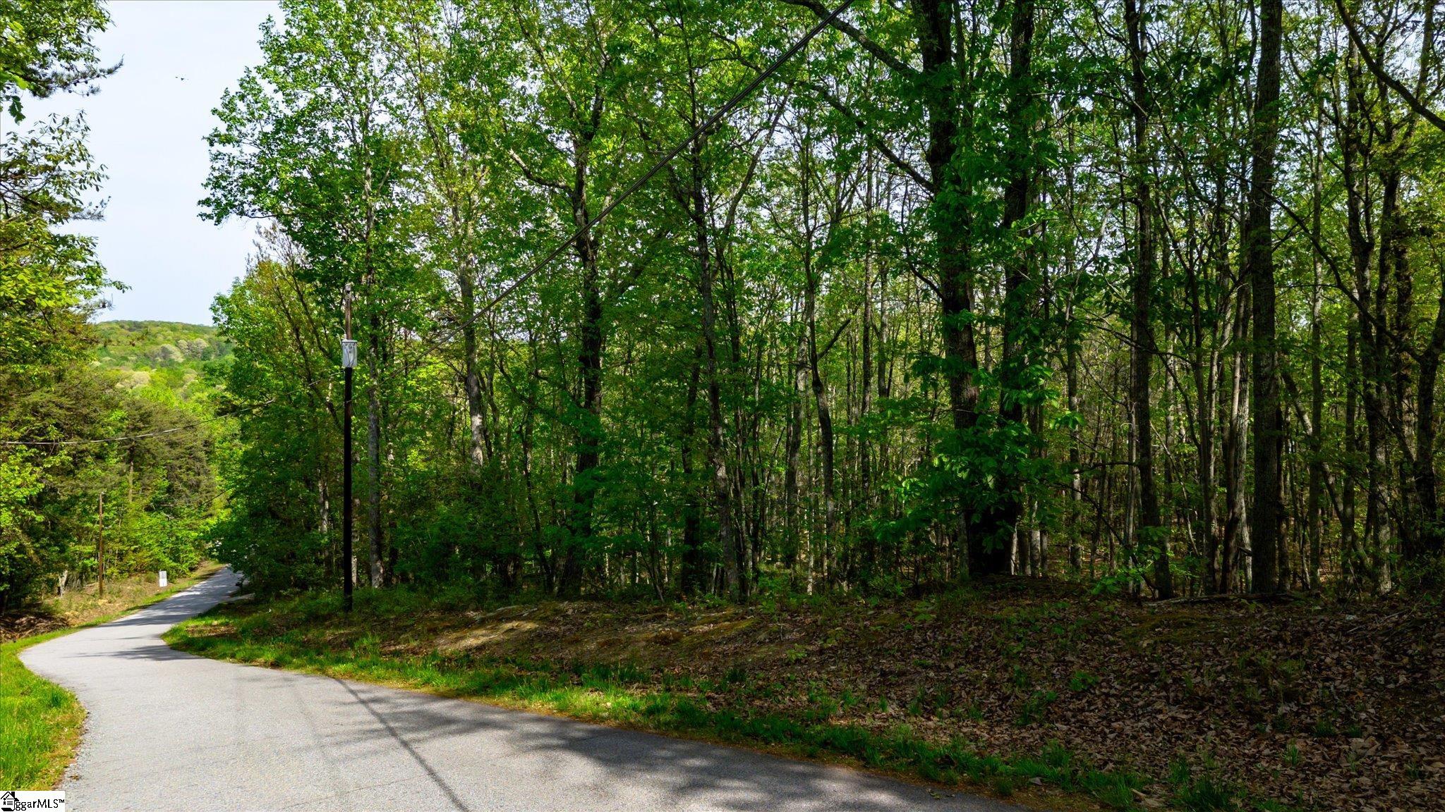 0 Packs Mountain Ridge Road Property Photo 2
