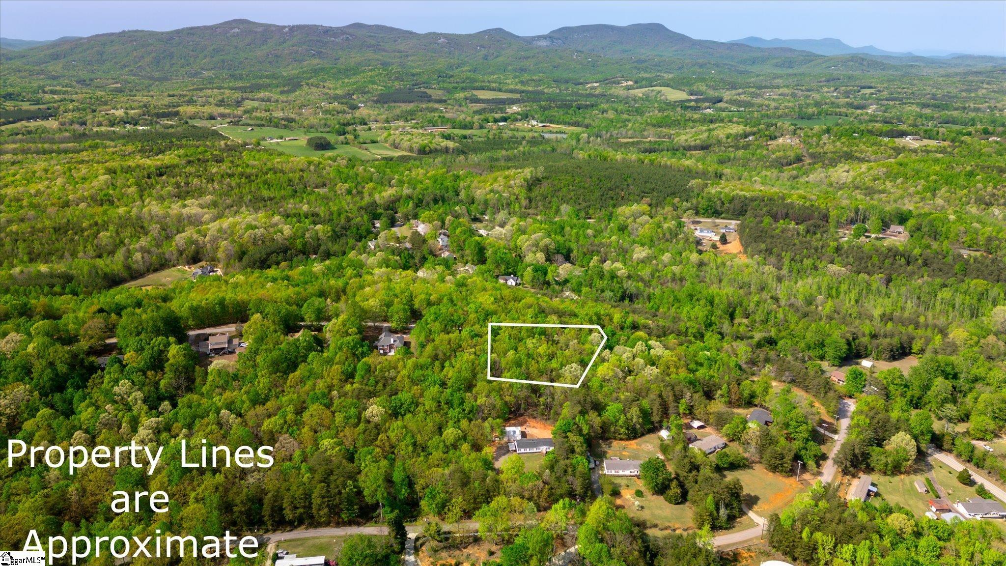 0 Packs Mountain Ridge Road Property Photo 3