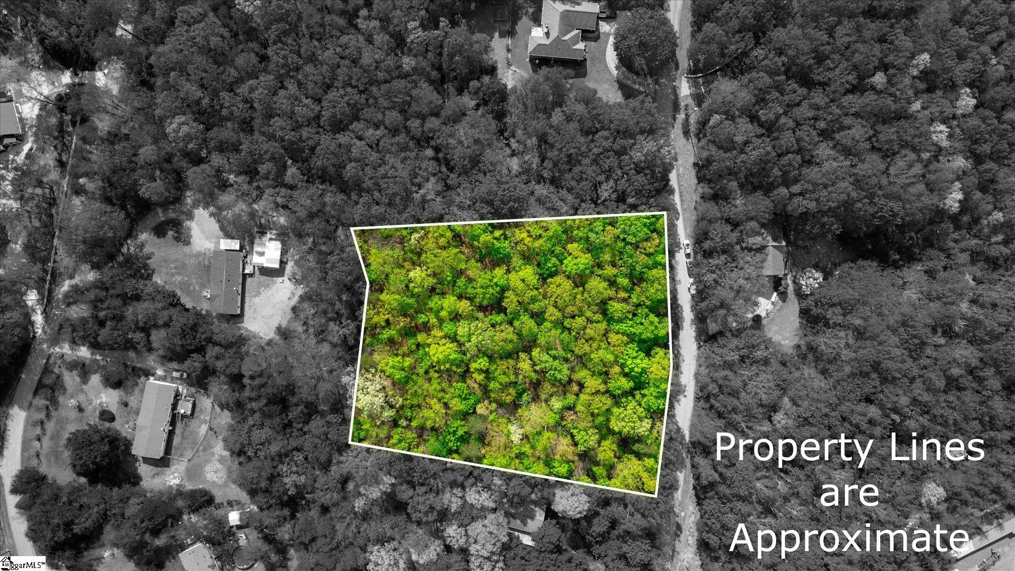 0 Packs Mountain Ridge Road Property Photo 5