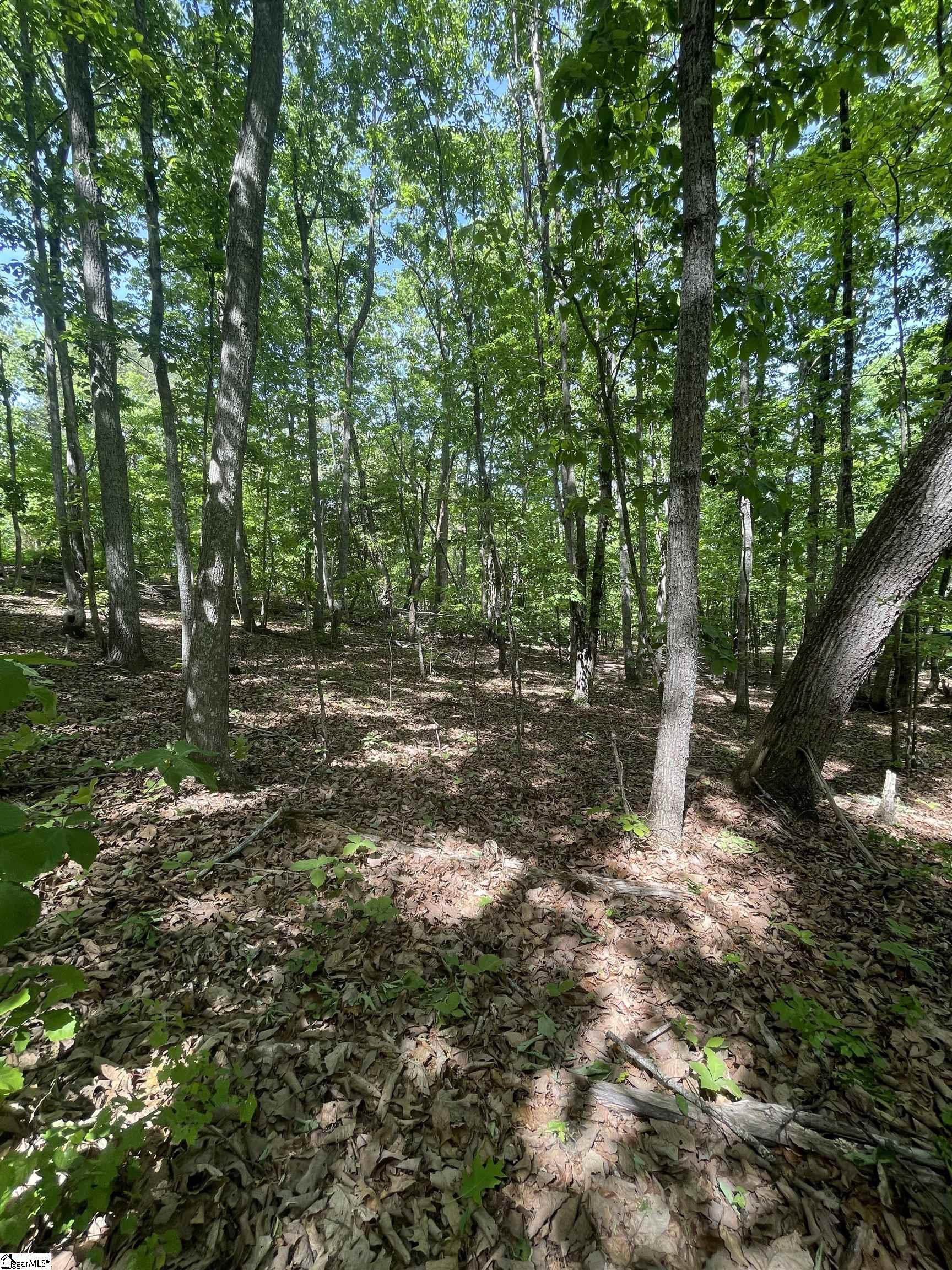 0 Packs Mountain Ridge Road Property Photo 6