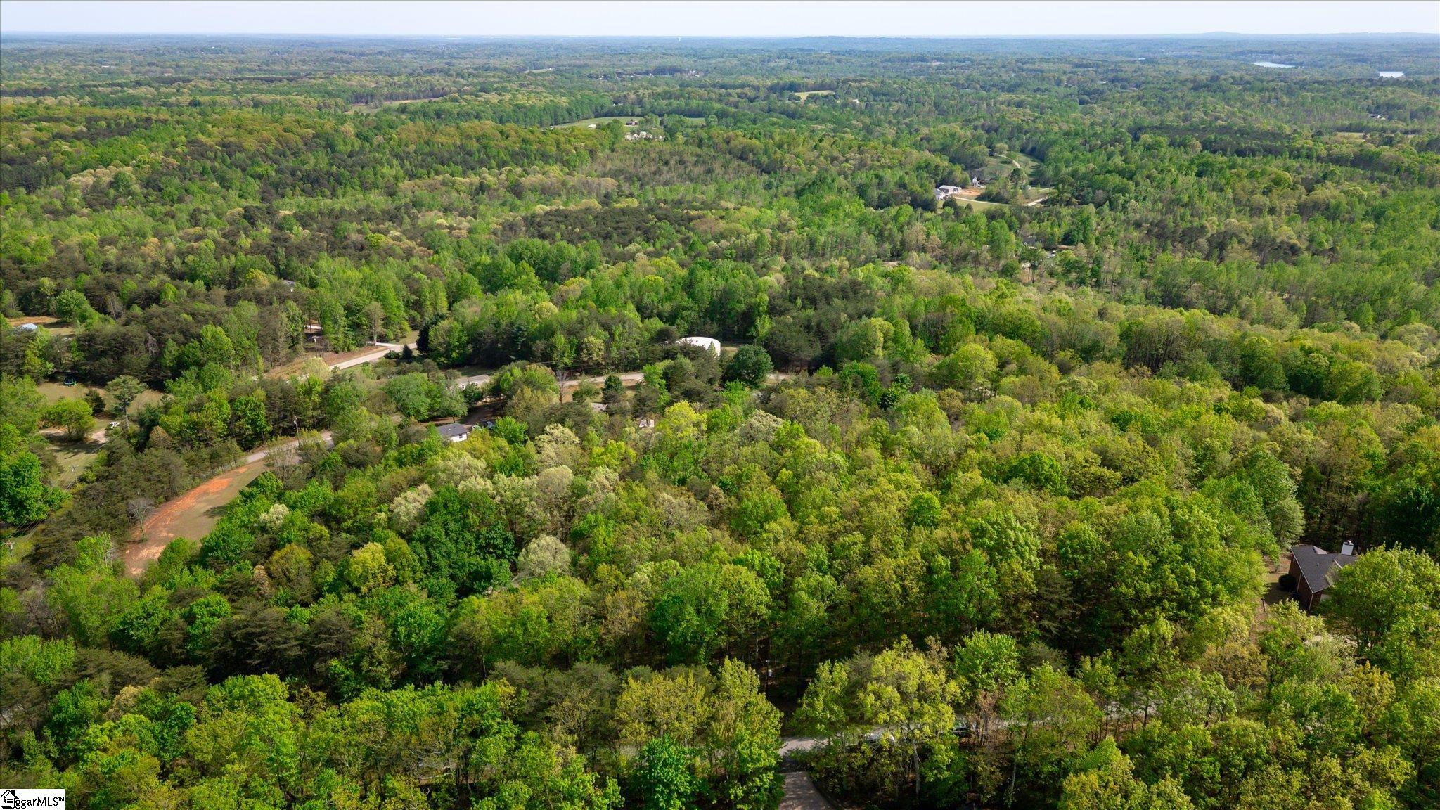 0 Packs Mountain Ridge Road Property Photo 9