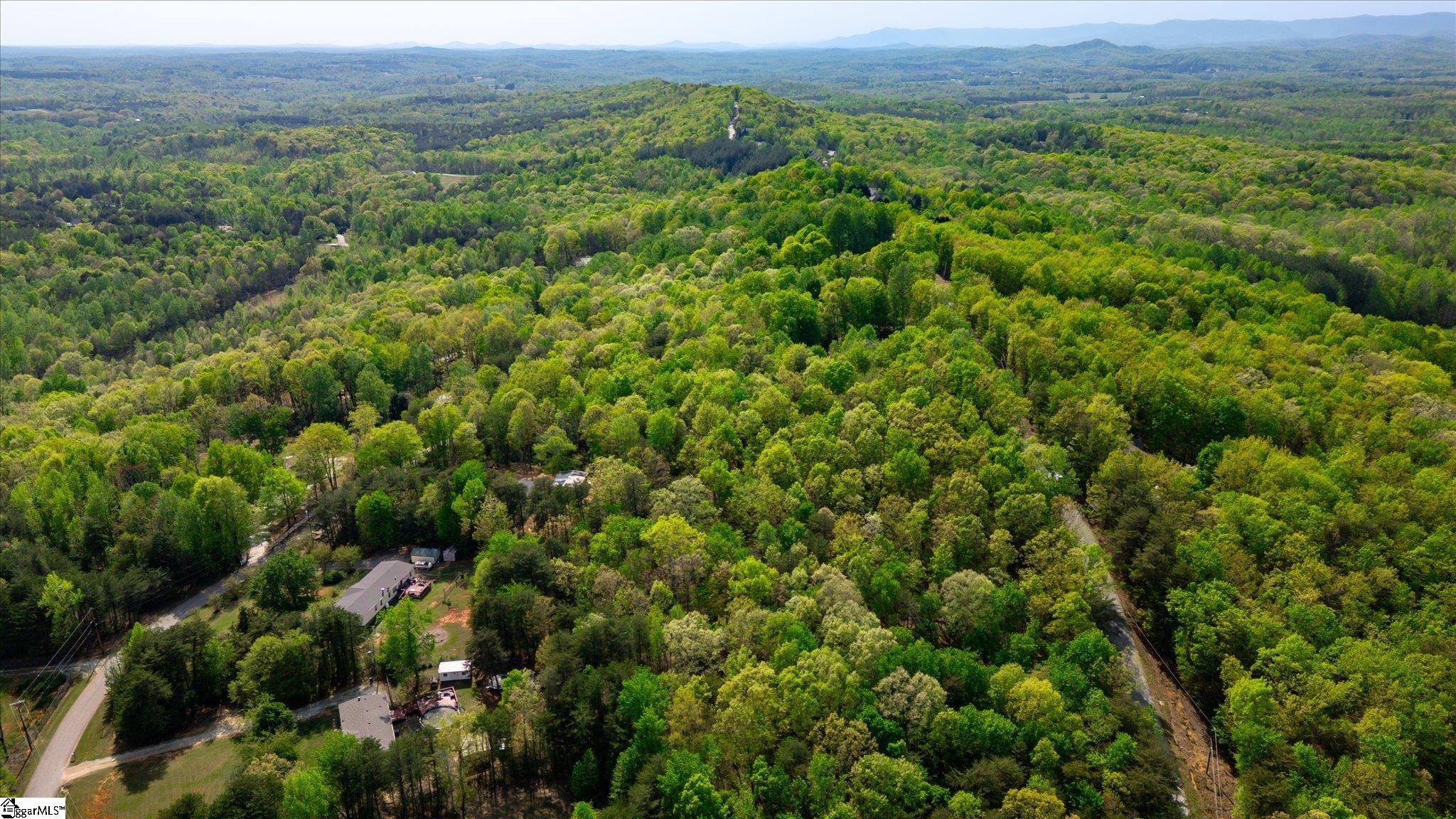 0 Packs Mountain Ridge Road Property Photo 10