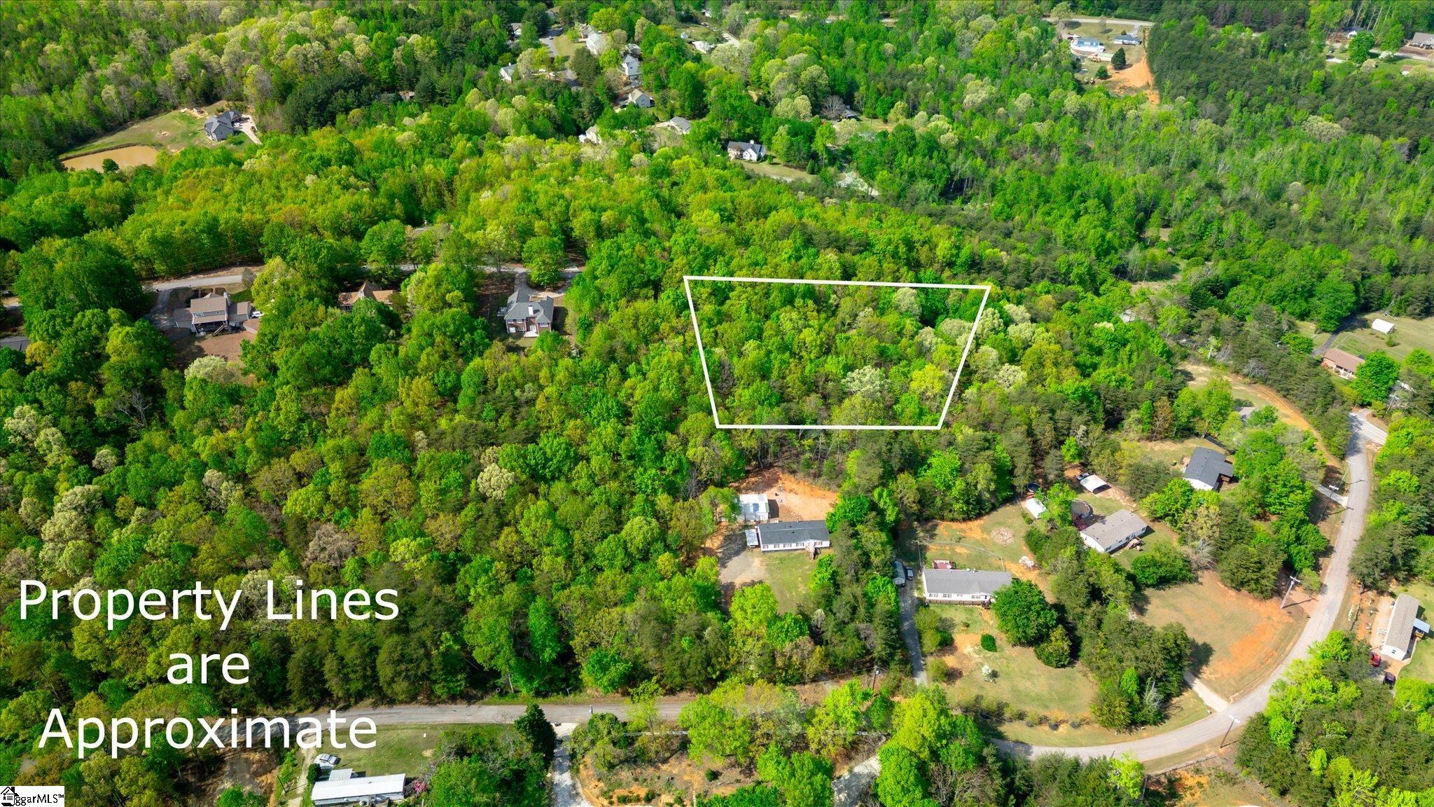 0 Packs Mountain Ridge Road Property Photo 11