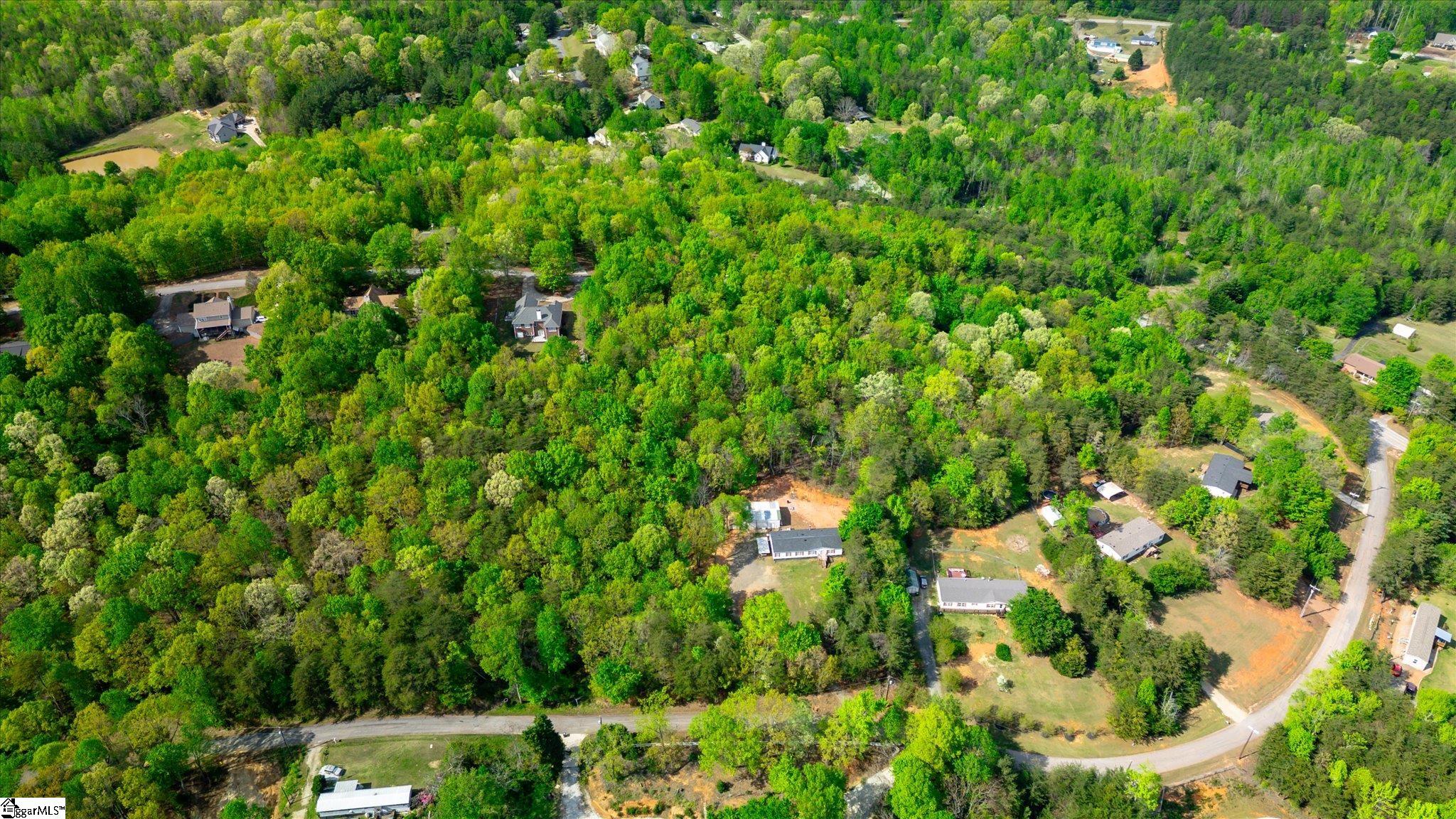 0 Packs Mountain Ridge Road Property Photo 12