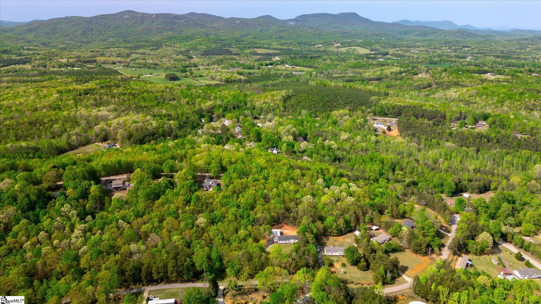 0 Packs Mountain Ridge Road Property Photo 13