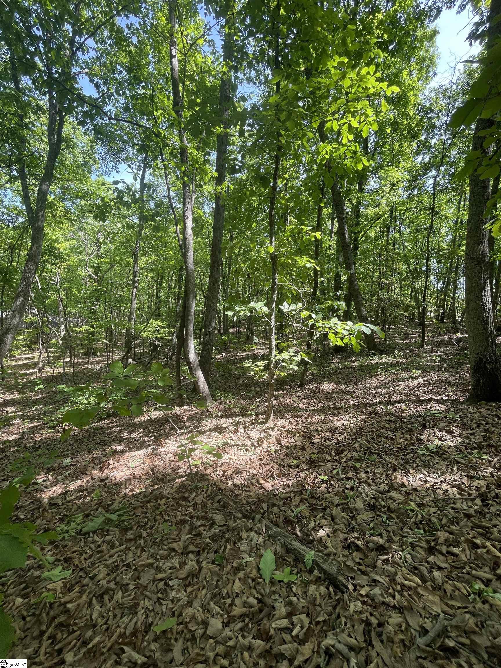 0 Packs Mountain Ridge Road Property Photo 16