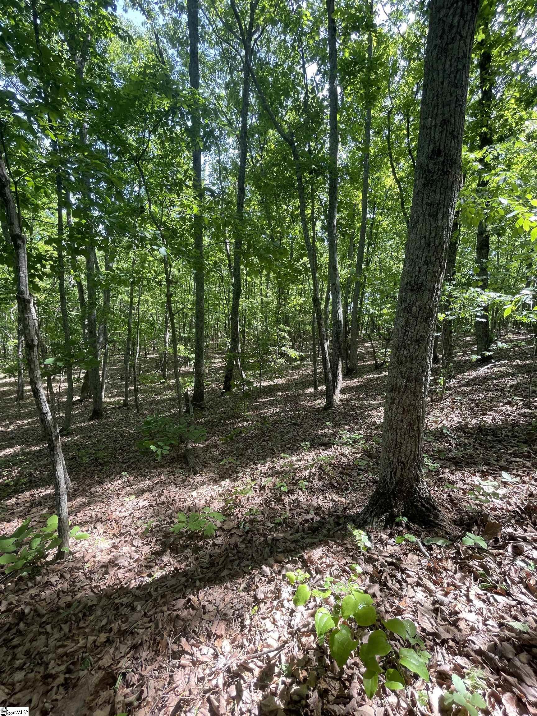 0 Packs Mountain Ridge Road Property Photo 17