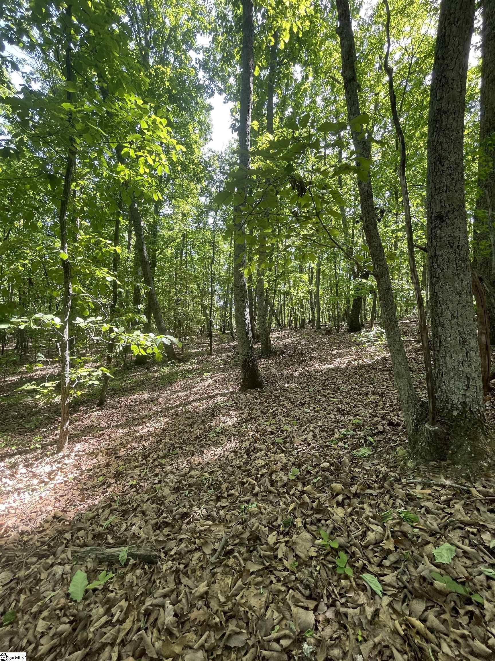0 Packs Mountain Ridge Road Property Photo 19
