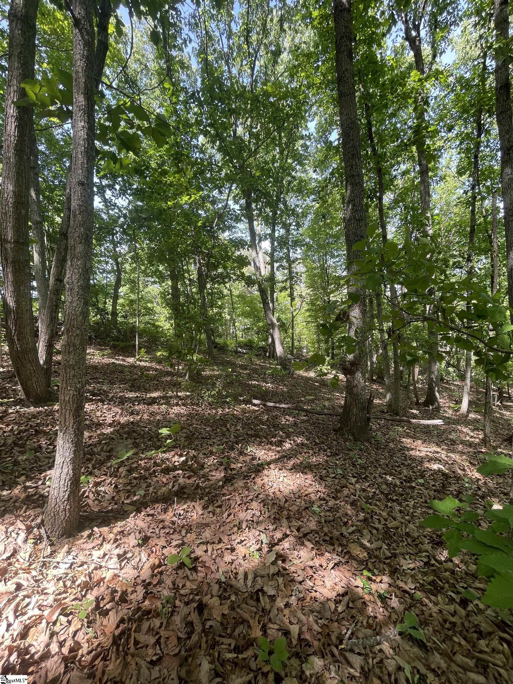 0 Packs Mountain Ridge Road Property Photo 20