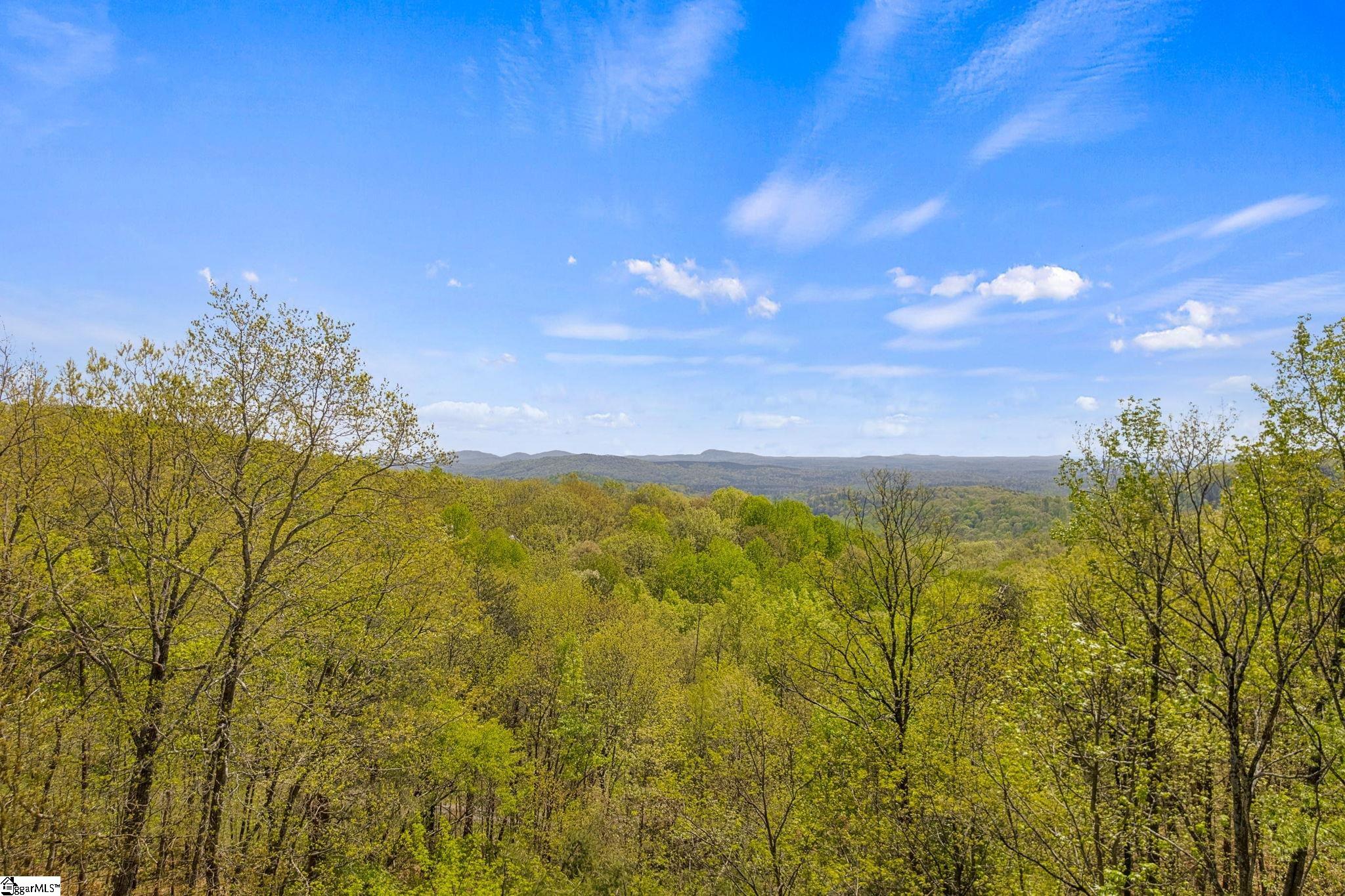 539 Upper Springs Road Property Photo 48