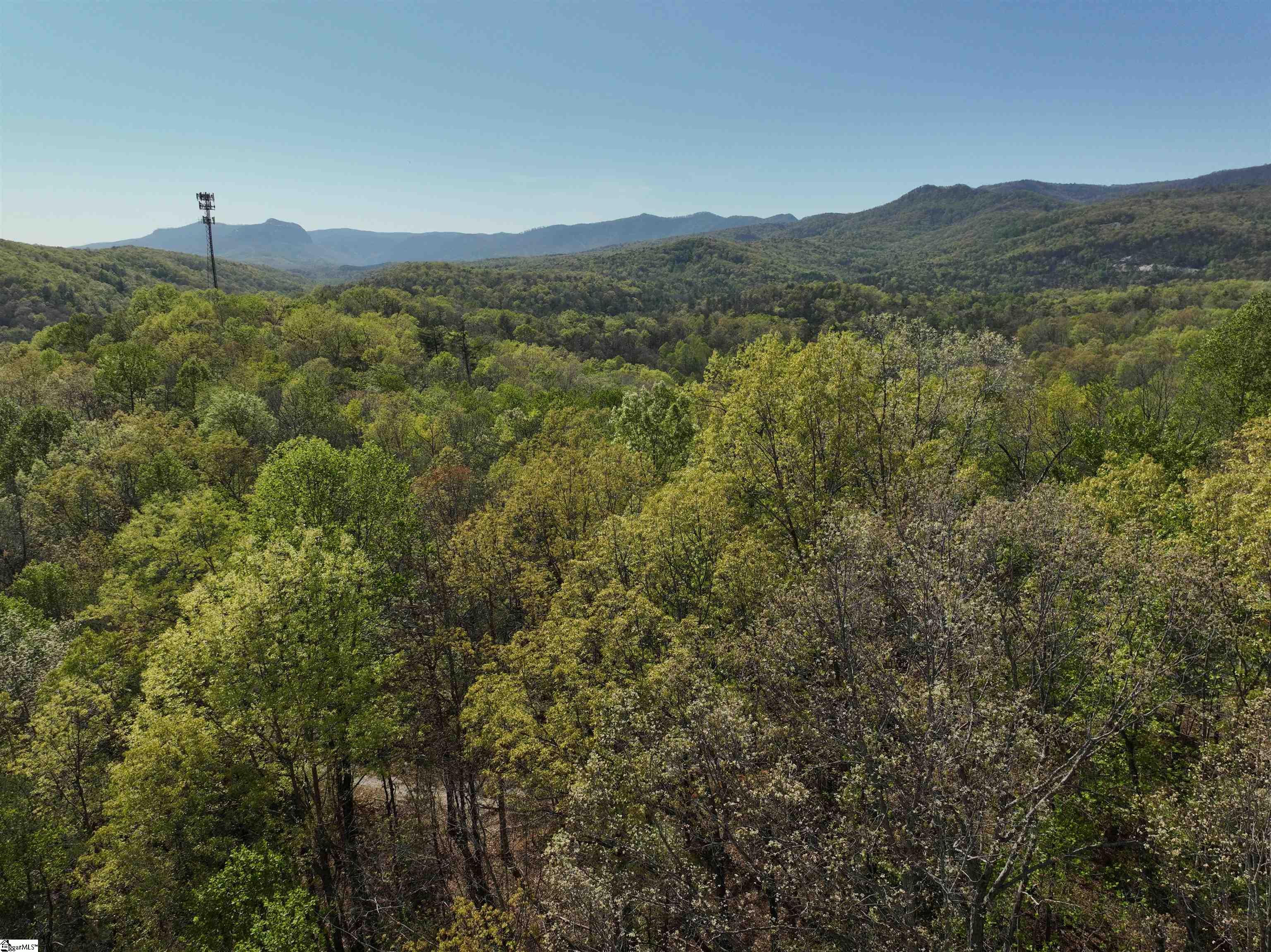 45 Emerald Crest Lane Property Photo 3