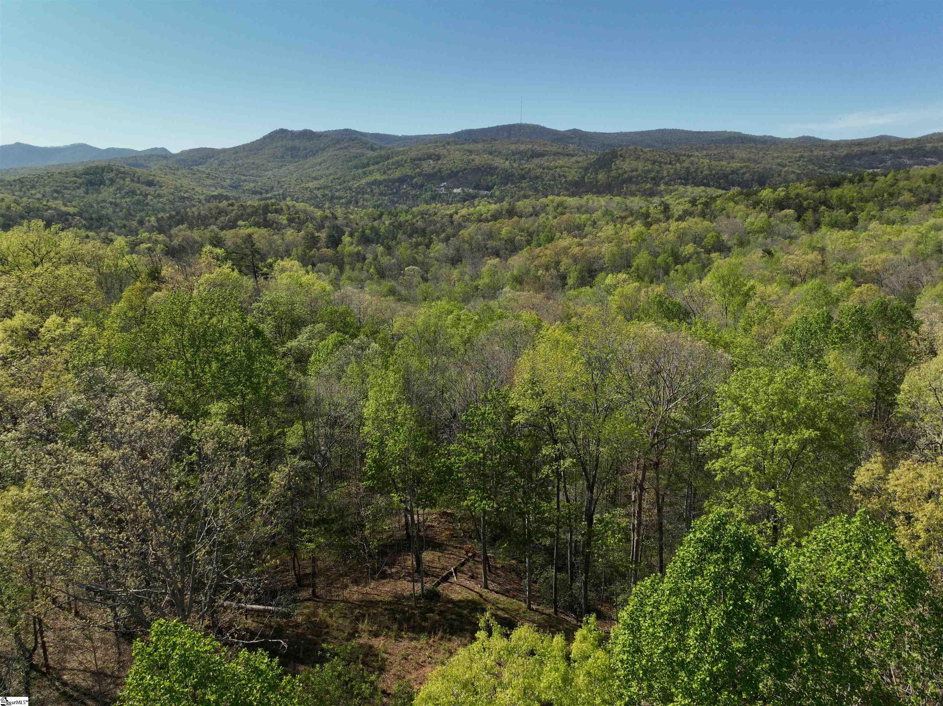 45 Emerald Crest Lane Property Photo 5