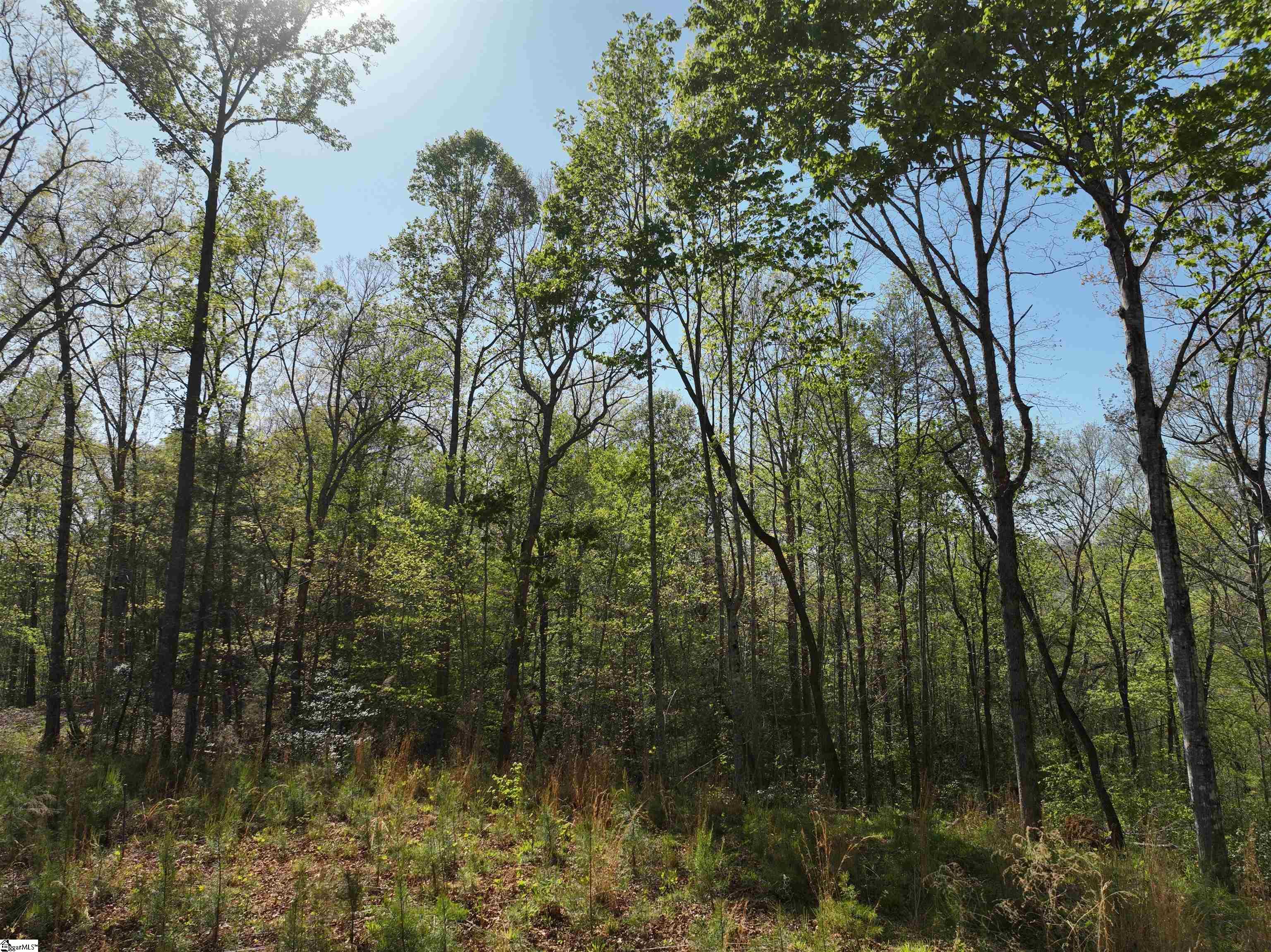 45 Emerald Crest Lane Property Photo 7