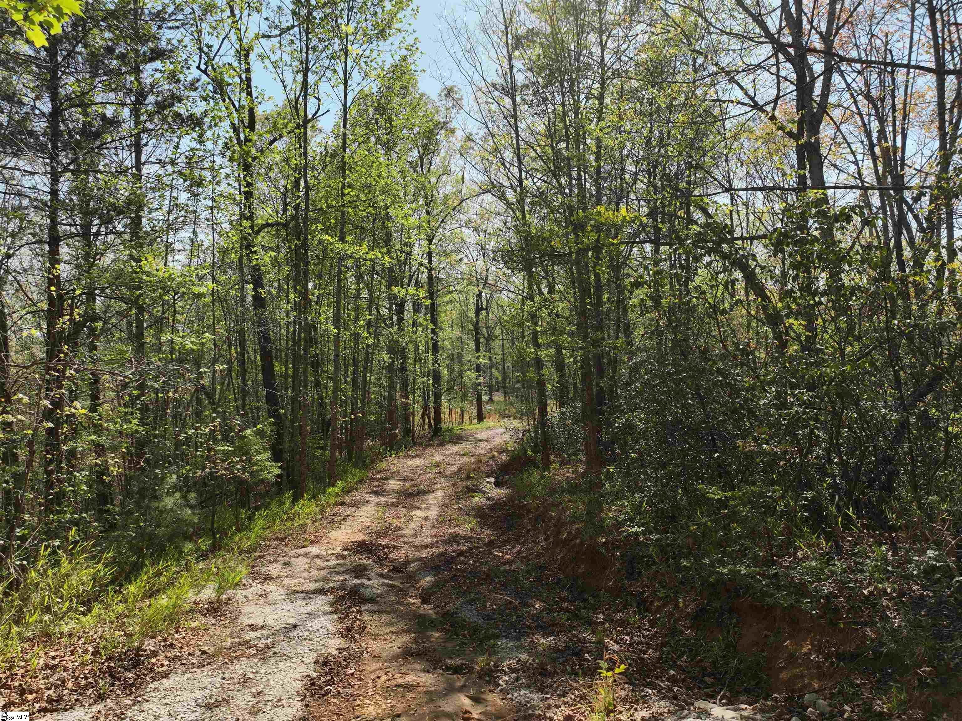 45 Emerald Crest Lane Property Photo 10