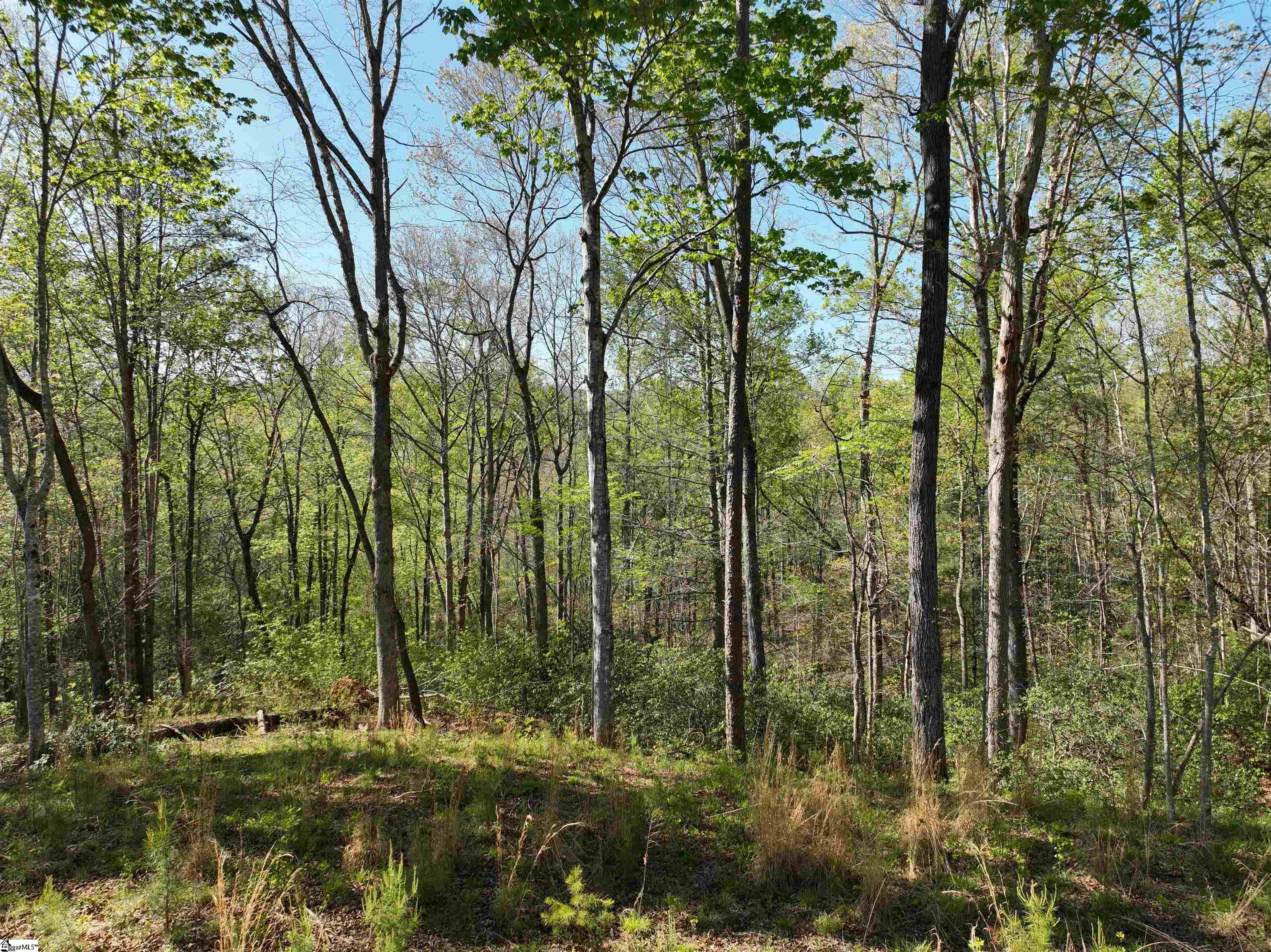 45 Emerald Crest Lane Property Photo 12