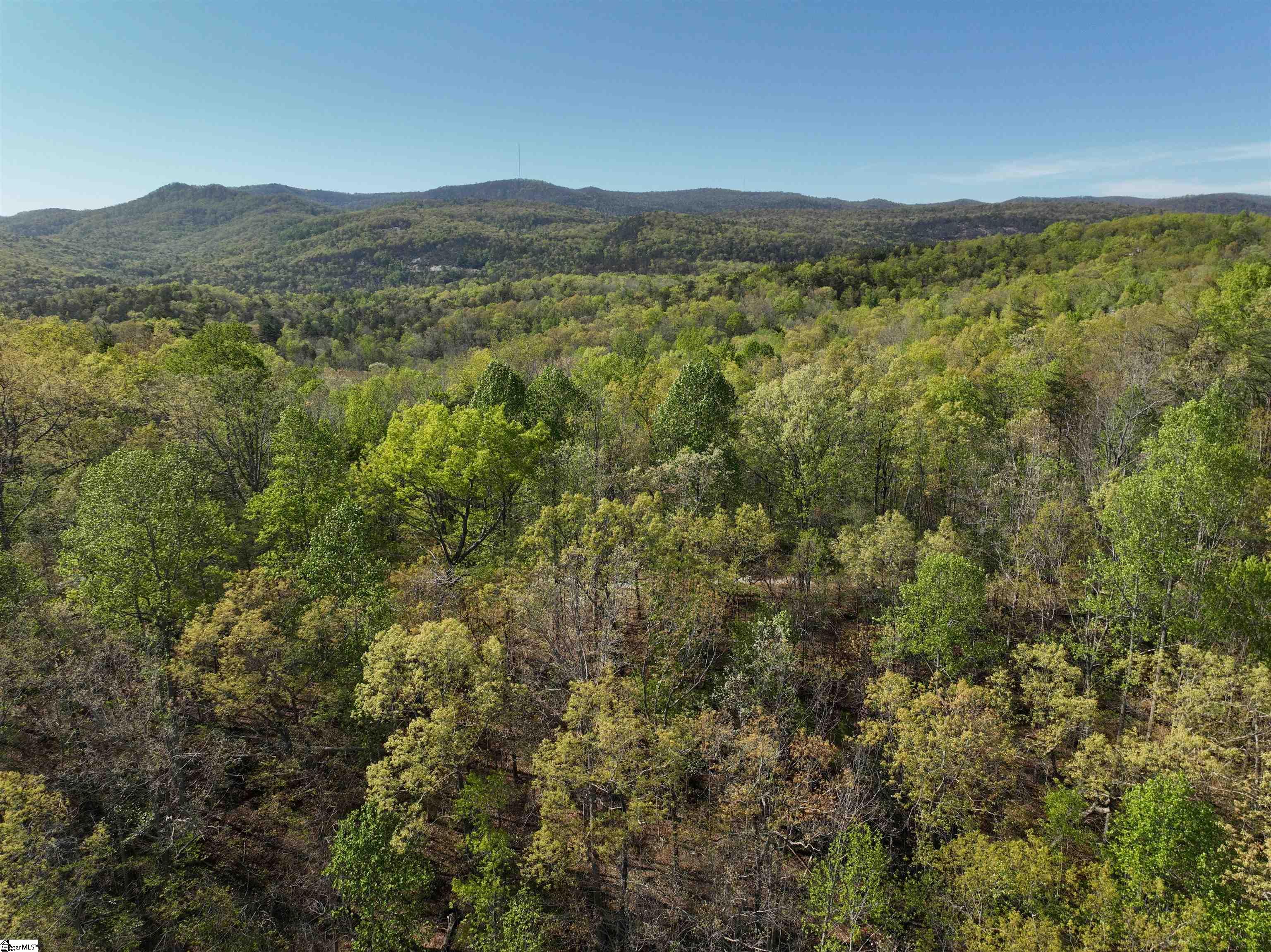45 Emerald Crest Lane Property Photo 14