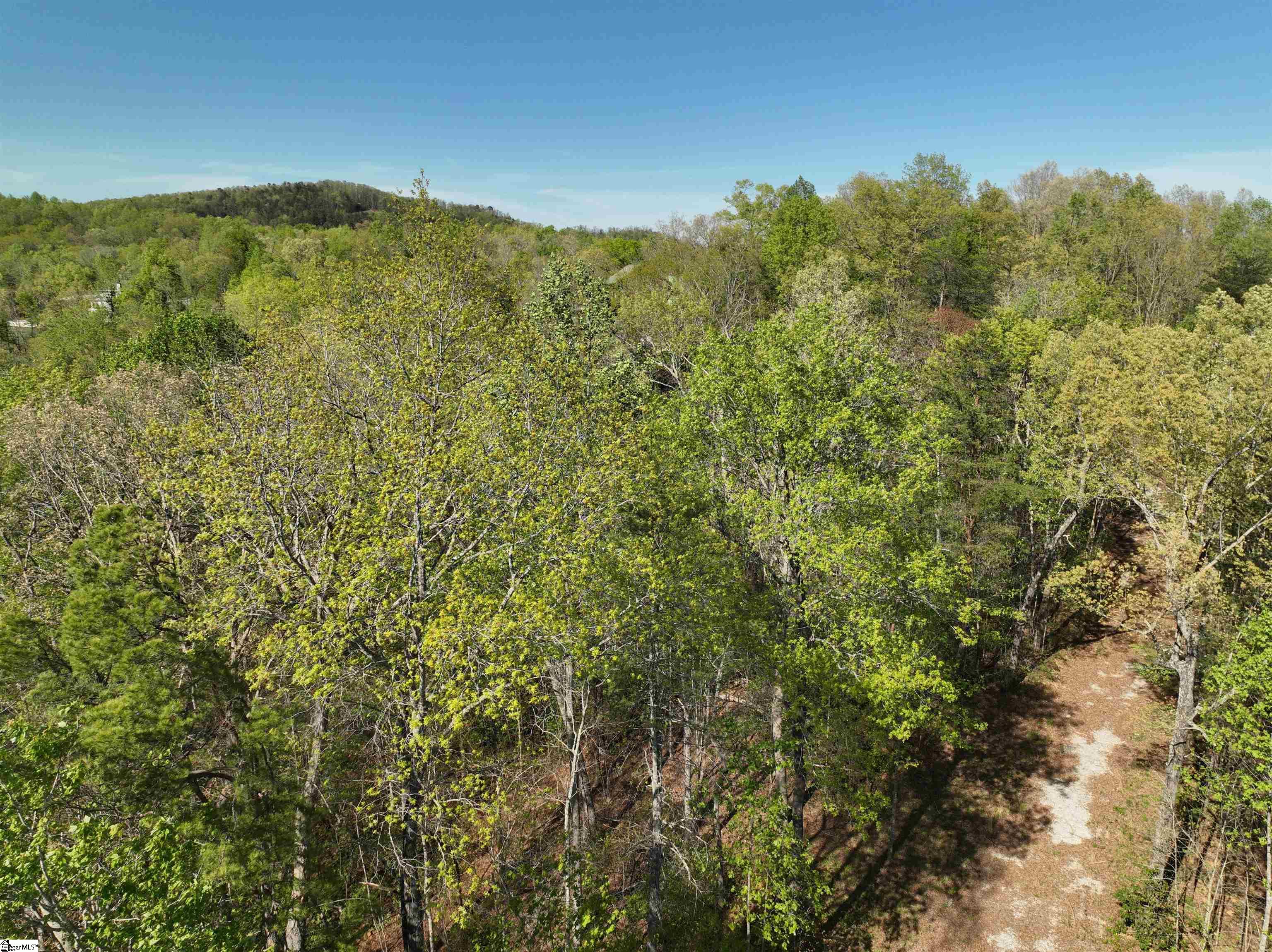 45 Emerald Crest Lane Property Photo 15