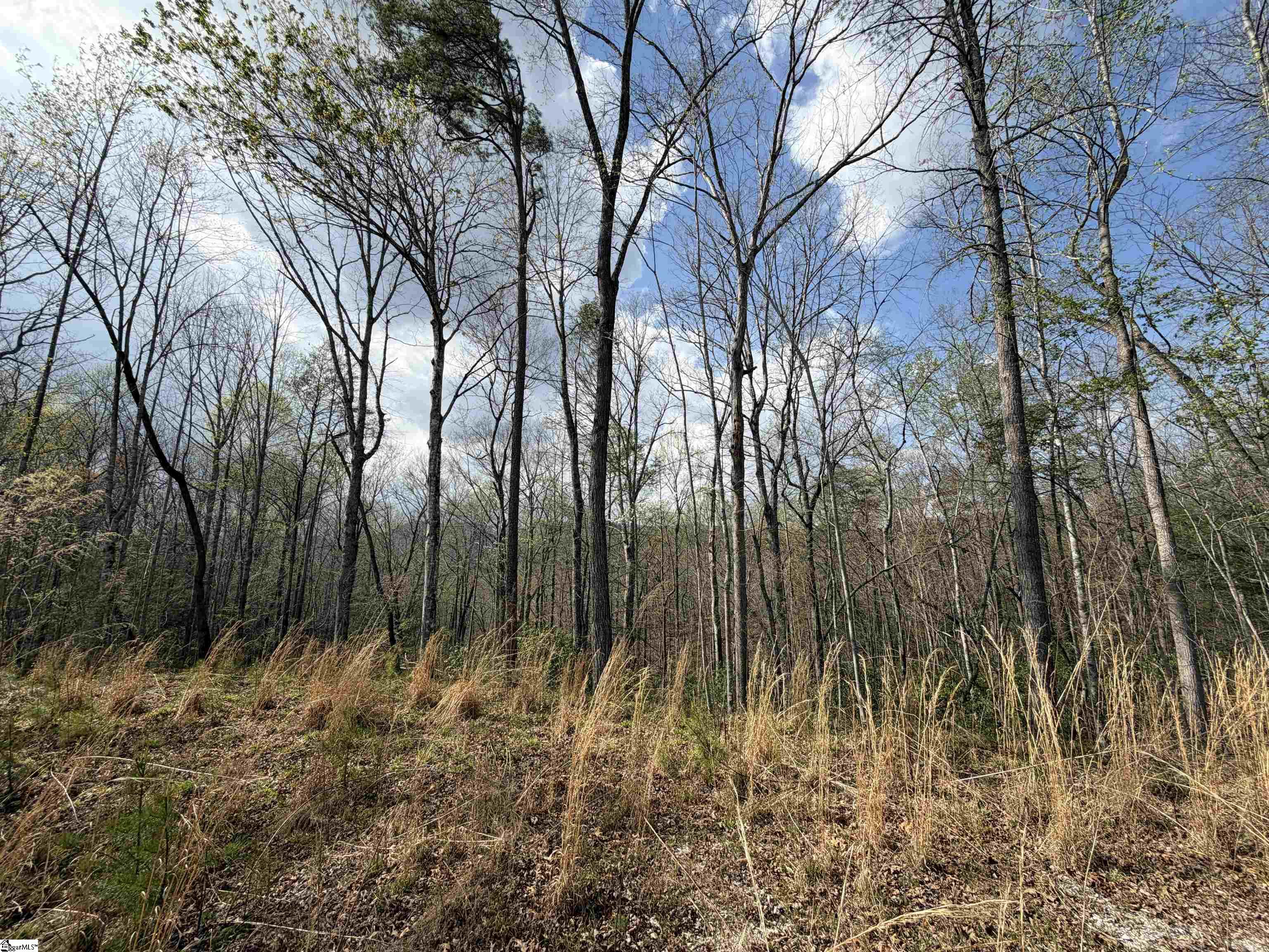 45 Emerald Crest Lane Property Photo 17