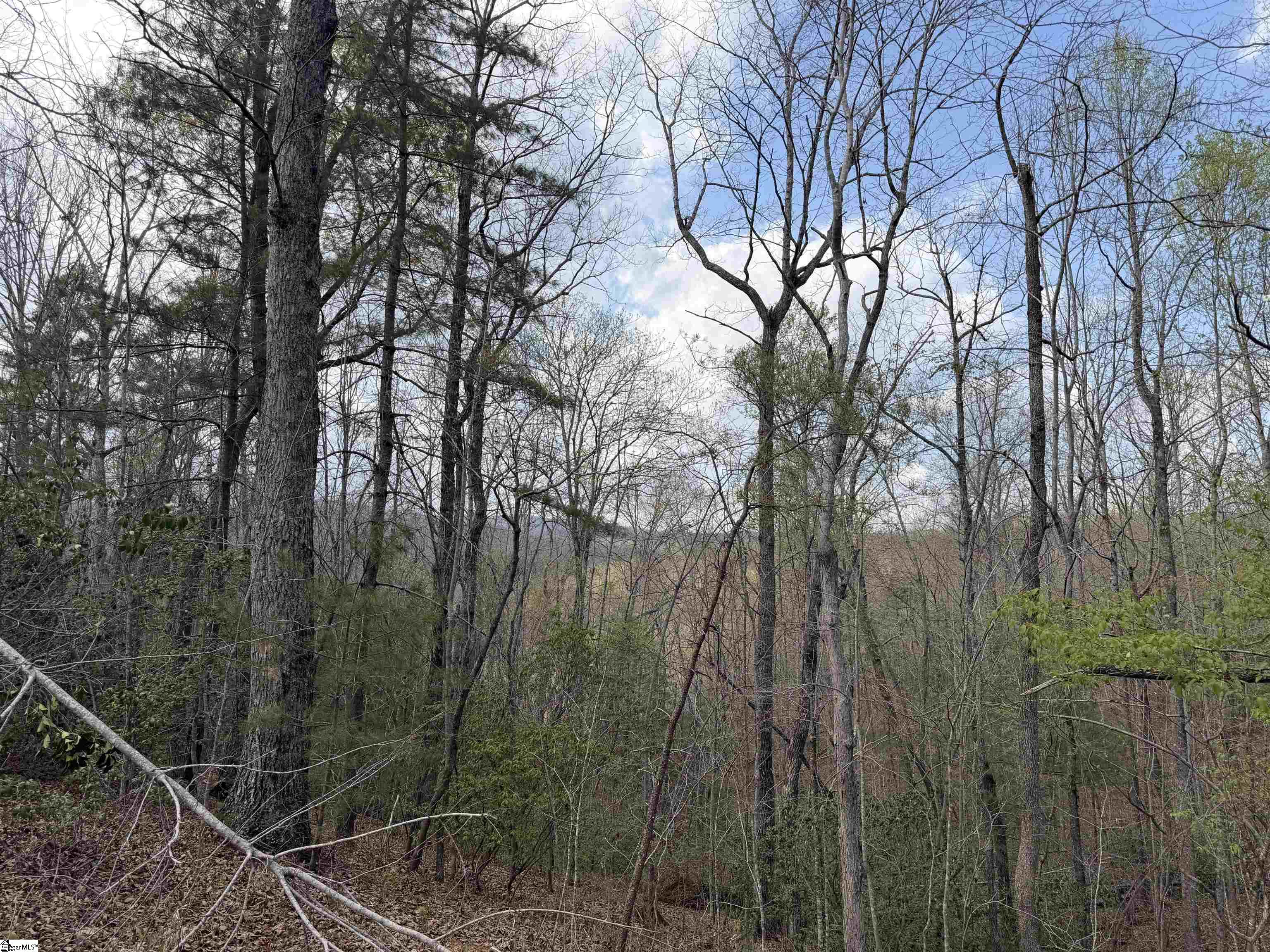 45 Emerald Crest Lane Property Photo 18