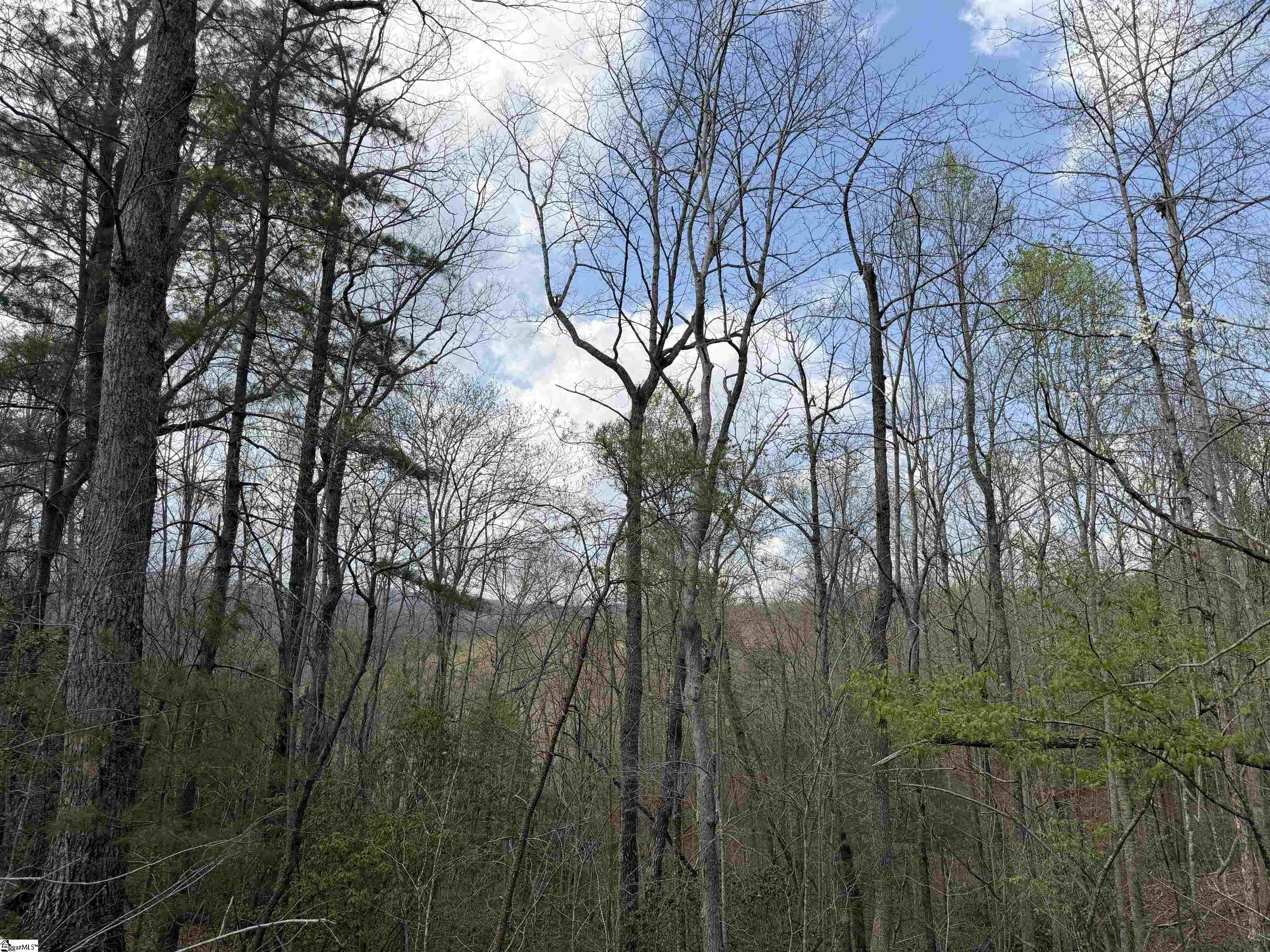 45 Emerald Crest Lane Property Photo 19