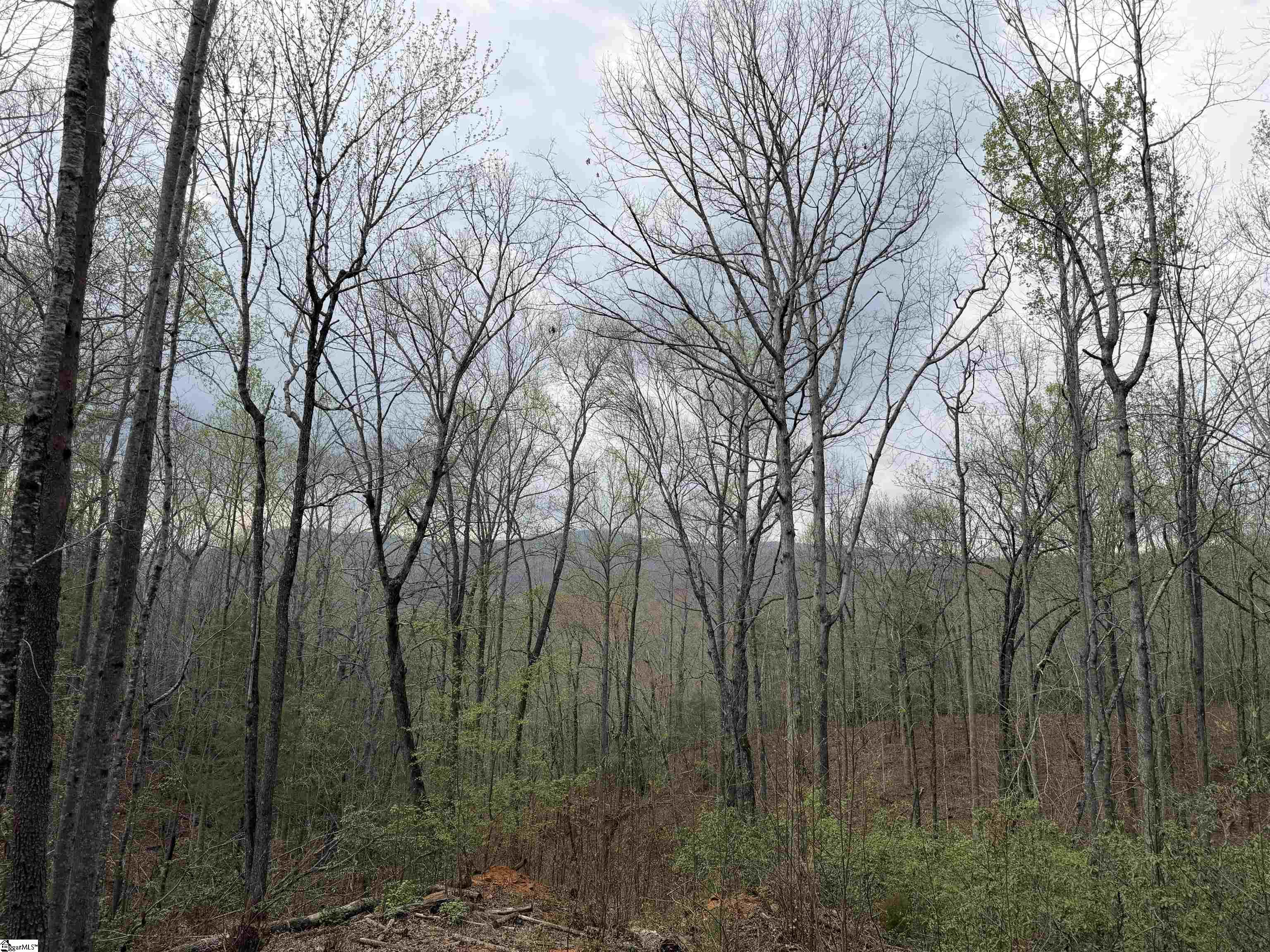 45 Emerald Crest Lane Property Photo 20