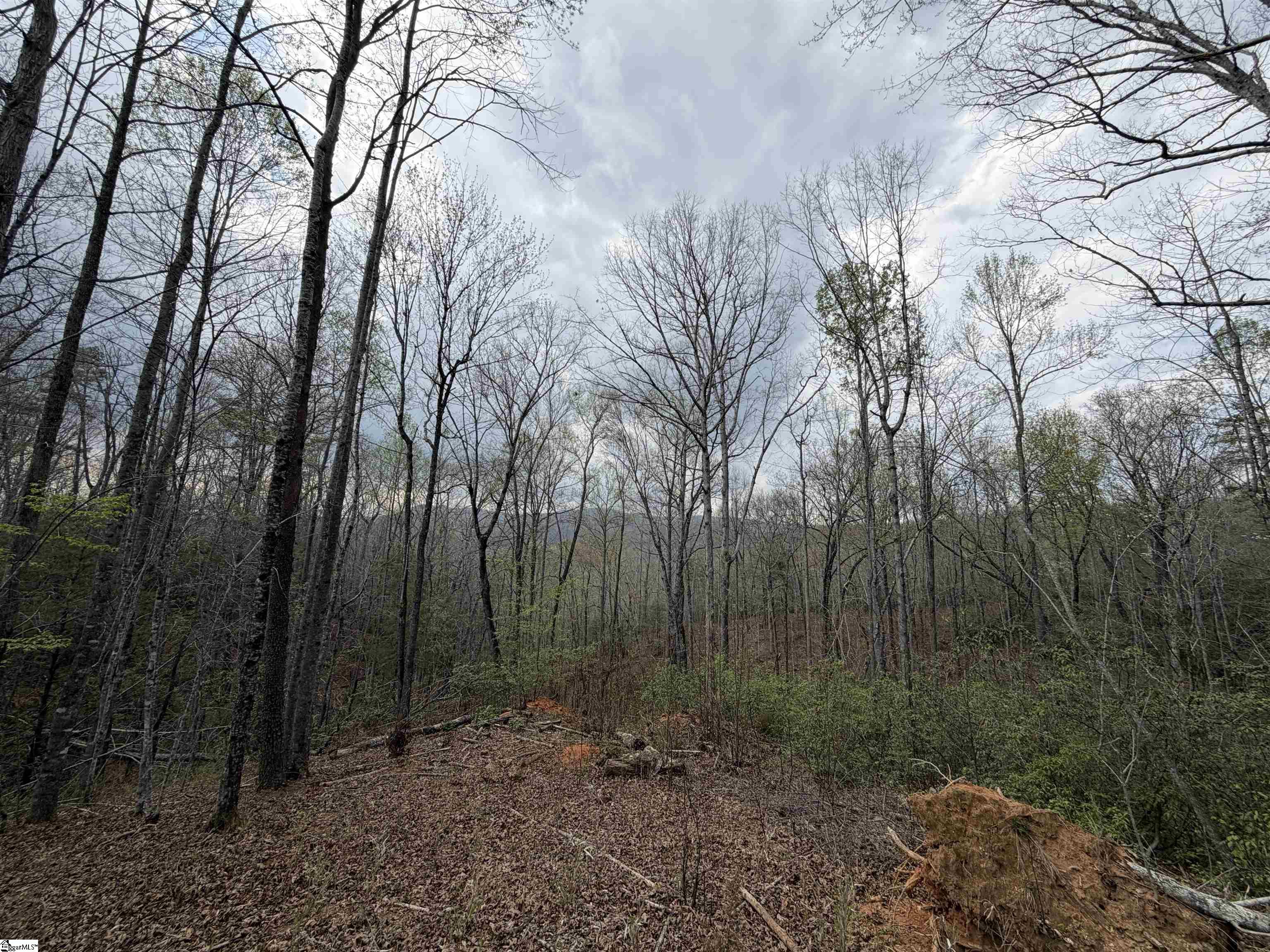 45 Emerald Crest Lane Property Photo 21