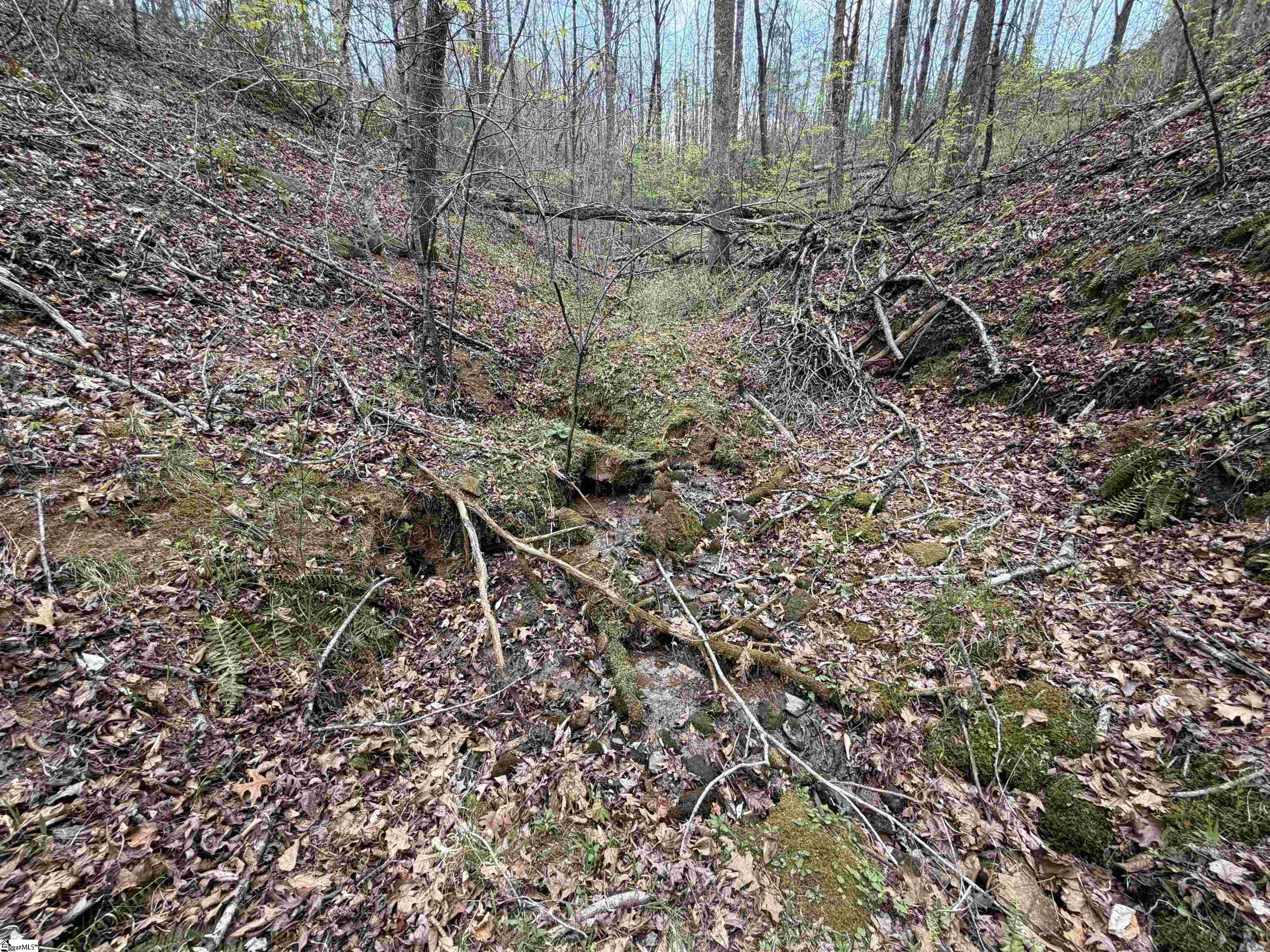 45 Emerald Crest Lane Property Photo 24