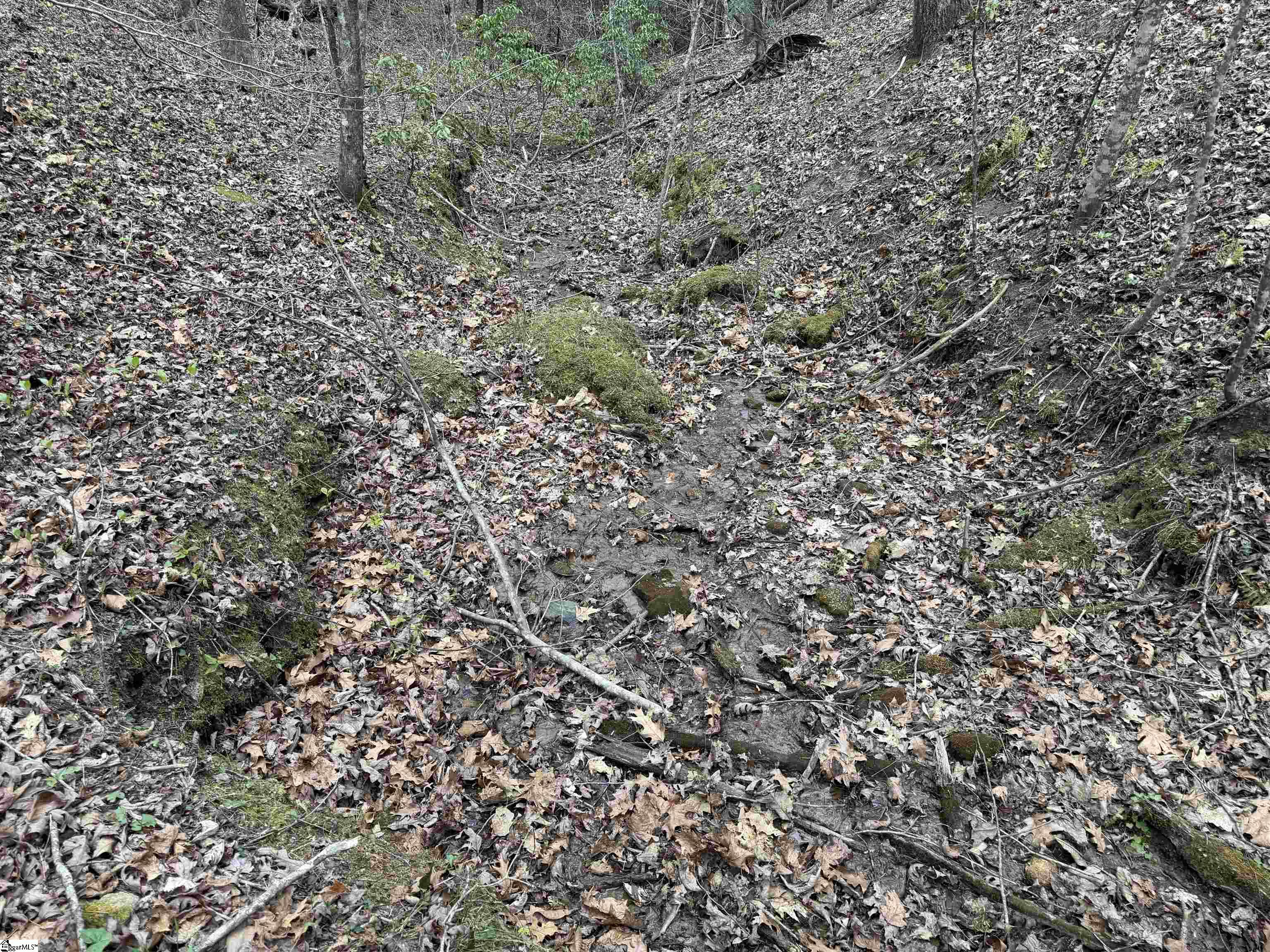 45 Emerald Crest Lane Property Photo 25