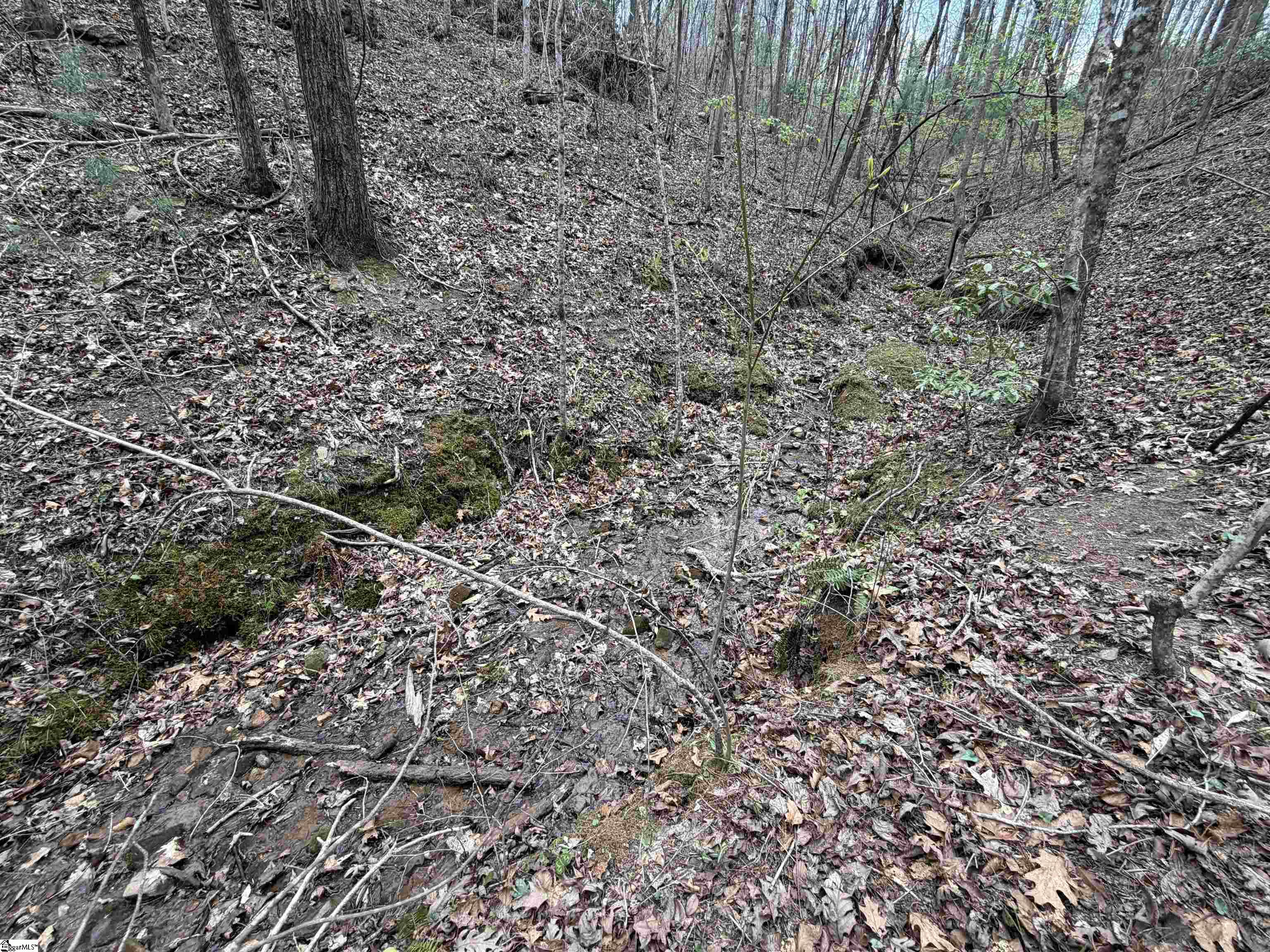 45 Emerald Crest Lane Property Photo 26