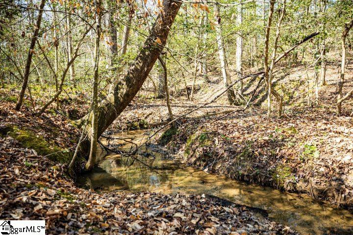 00 Marys Mountain Road Property Photo 3