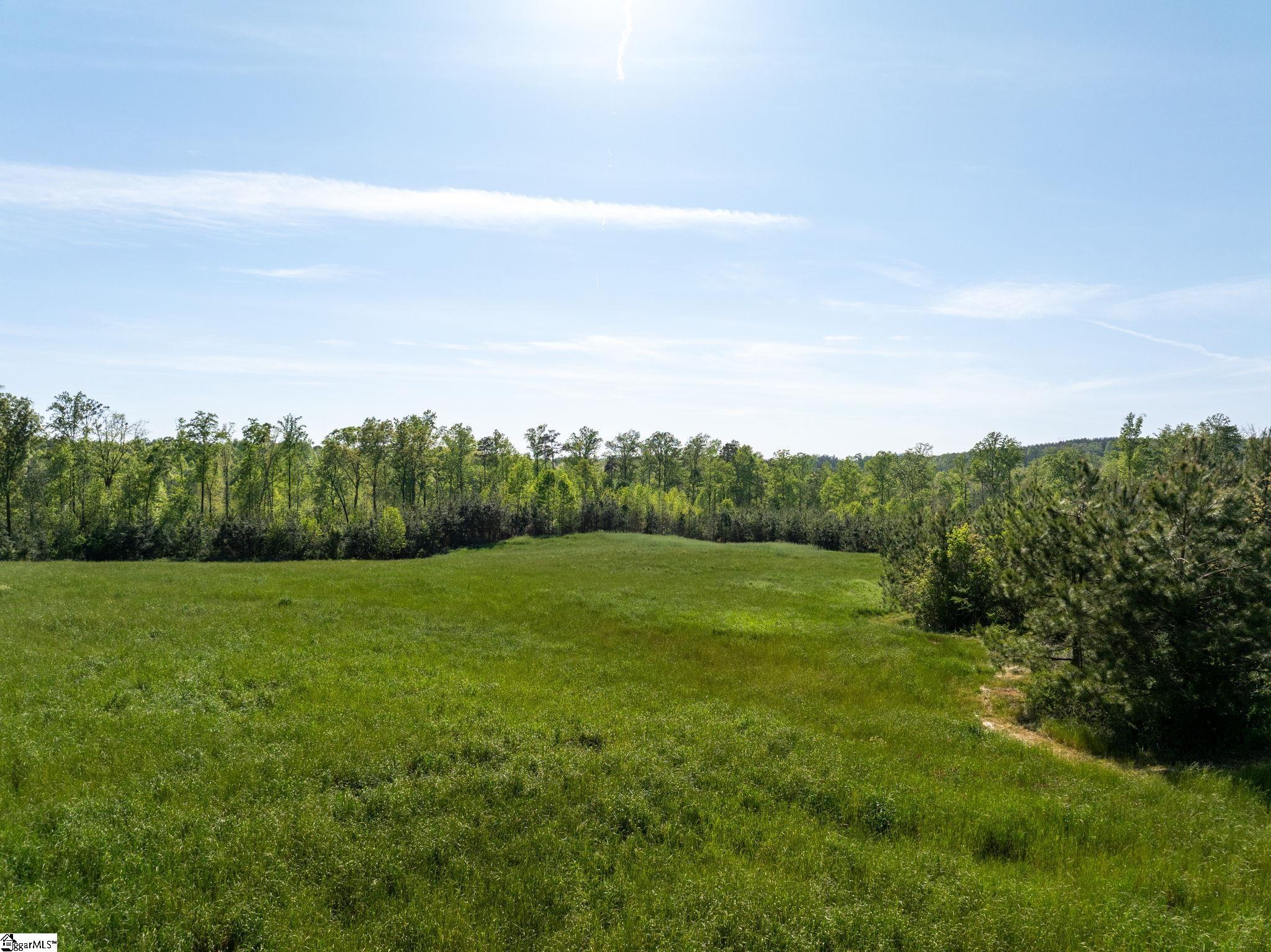 1254 Stribling Shoals Road Property Photo 4