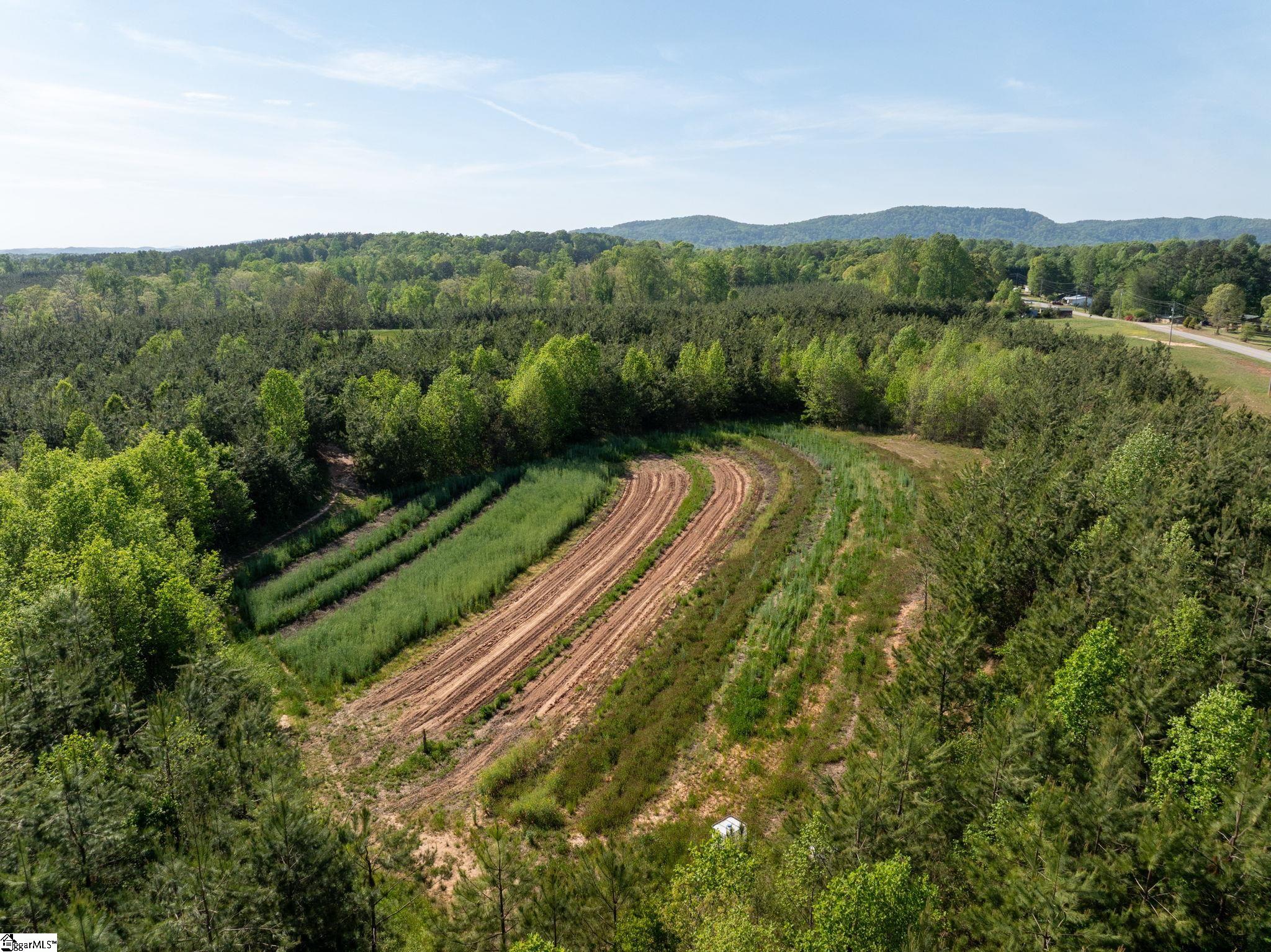 1254 Stribling Shoals Road Property Photo 6