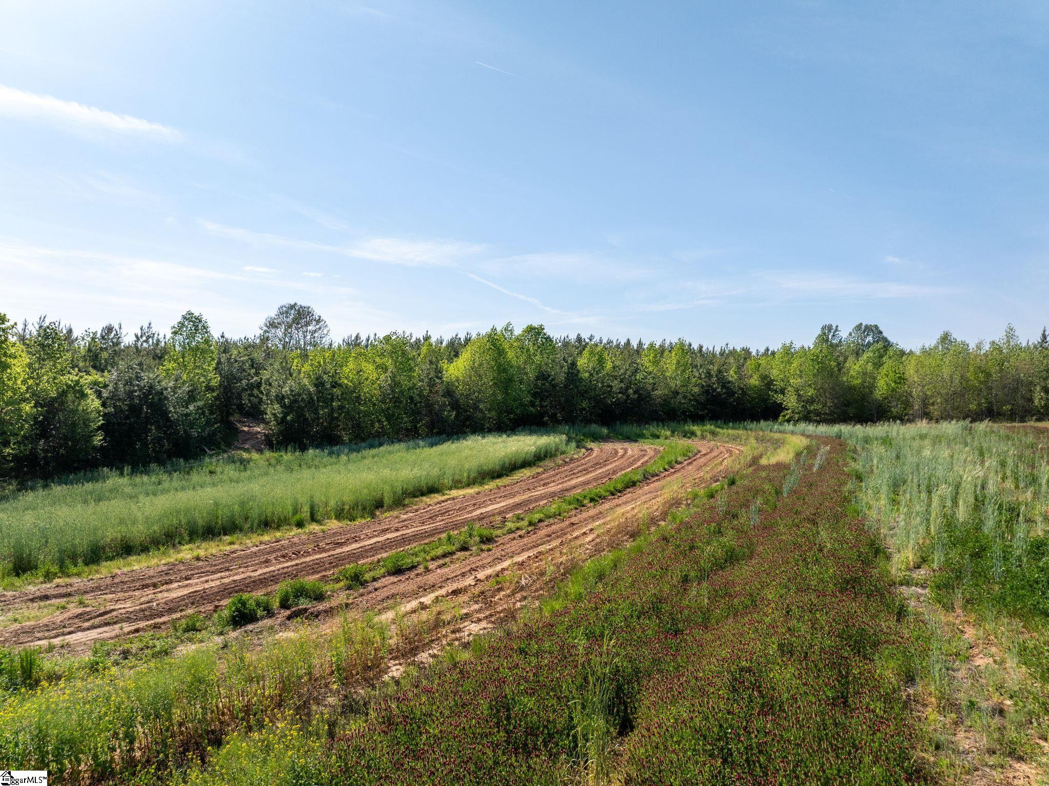1254 Stribling Shoals Road Property Photo 7