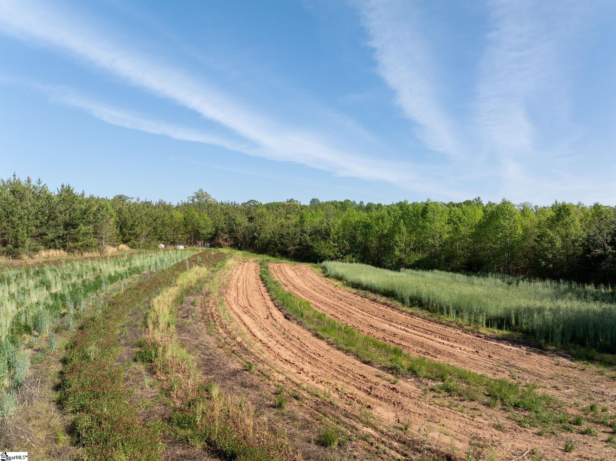 1254 Stribling Shoals Road Property Photo 8