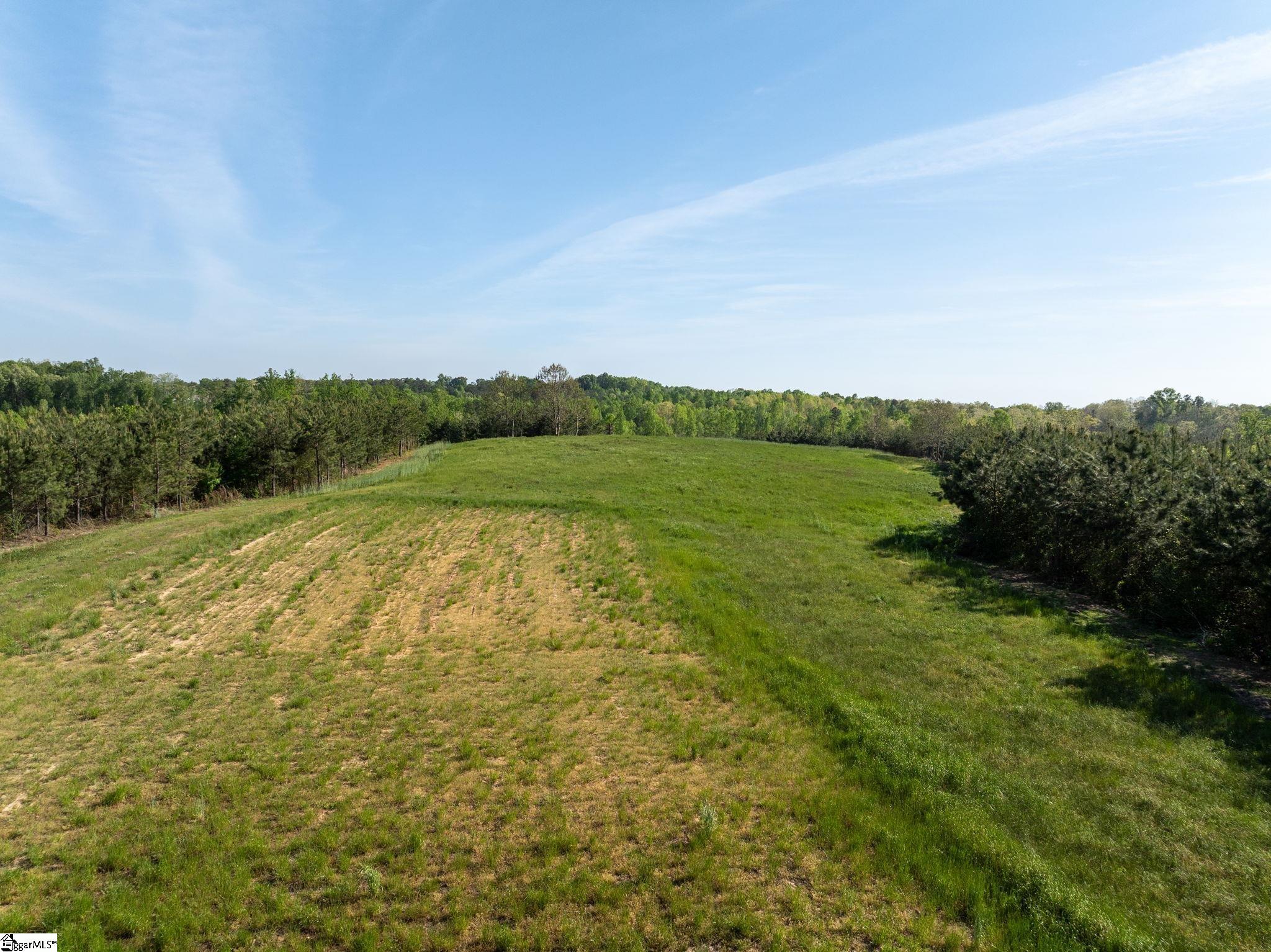 1254 Stribling Shoals Road Property Photo 9