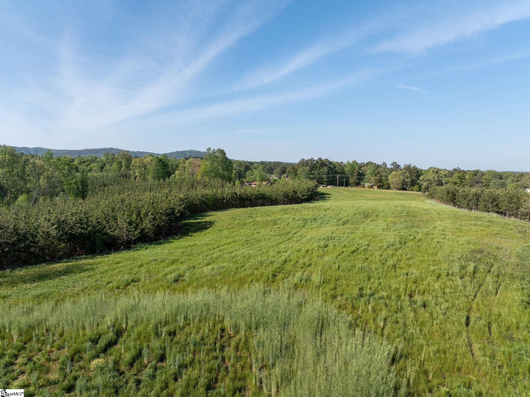1254 Stribling Shoals Road Property Photo 10