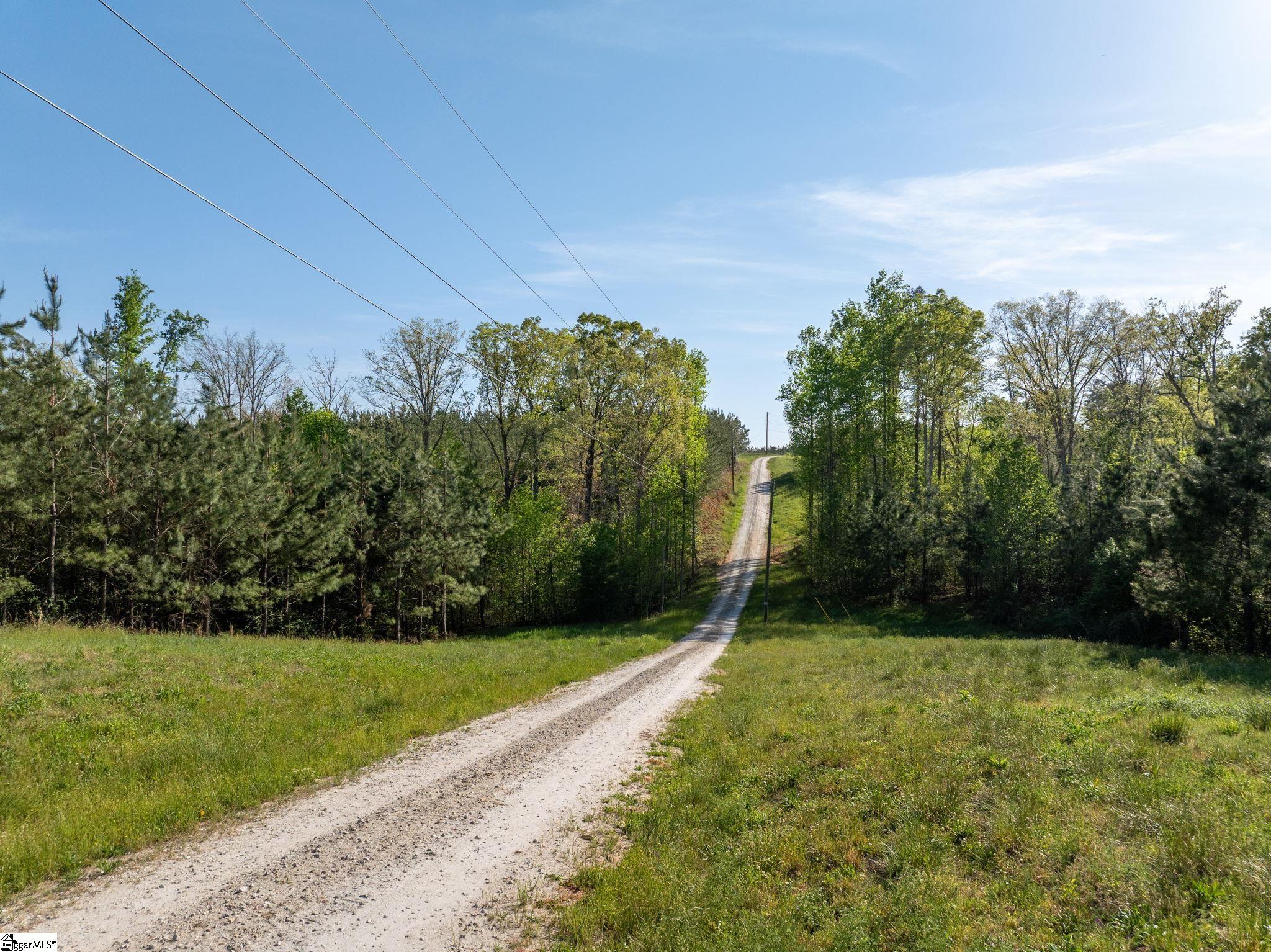 1254 Stribling Shoals Road Property Photo 11