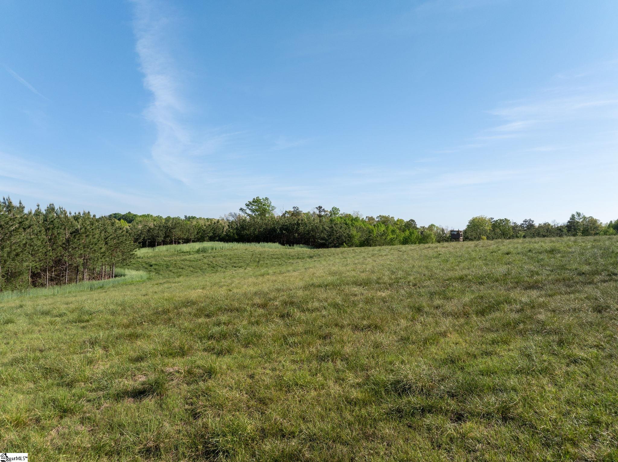 1254 Stribling Shoals Road Property Photo 15