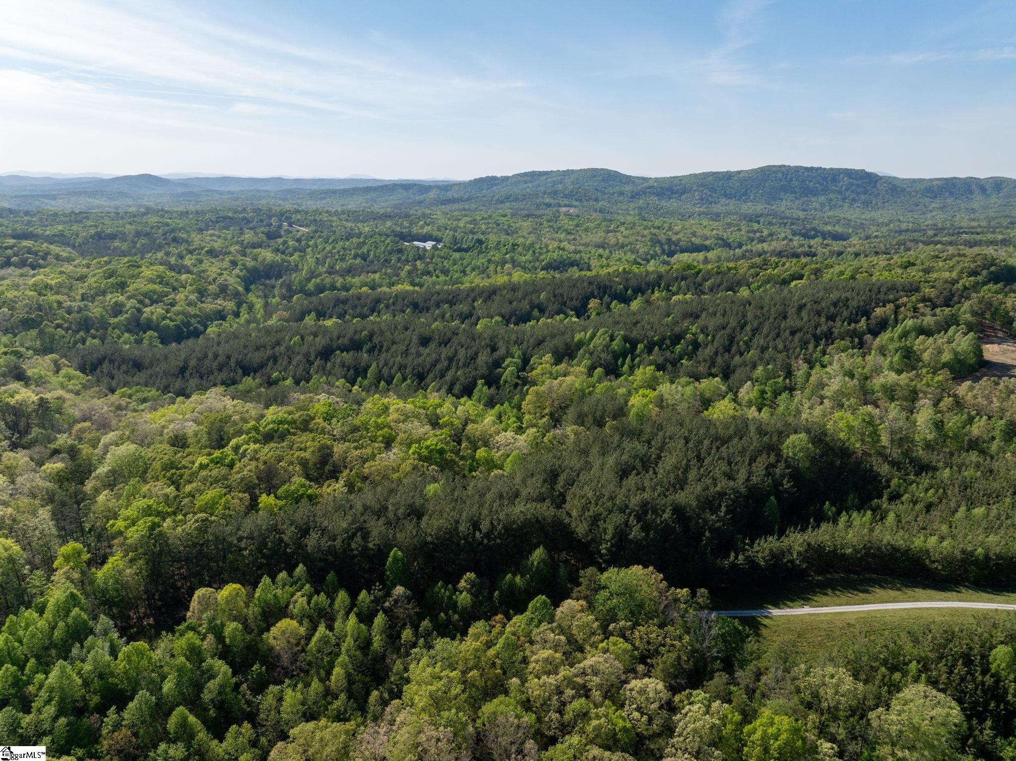 1254 Stribling Shoals Road Property Photo 16