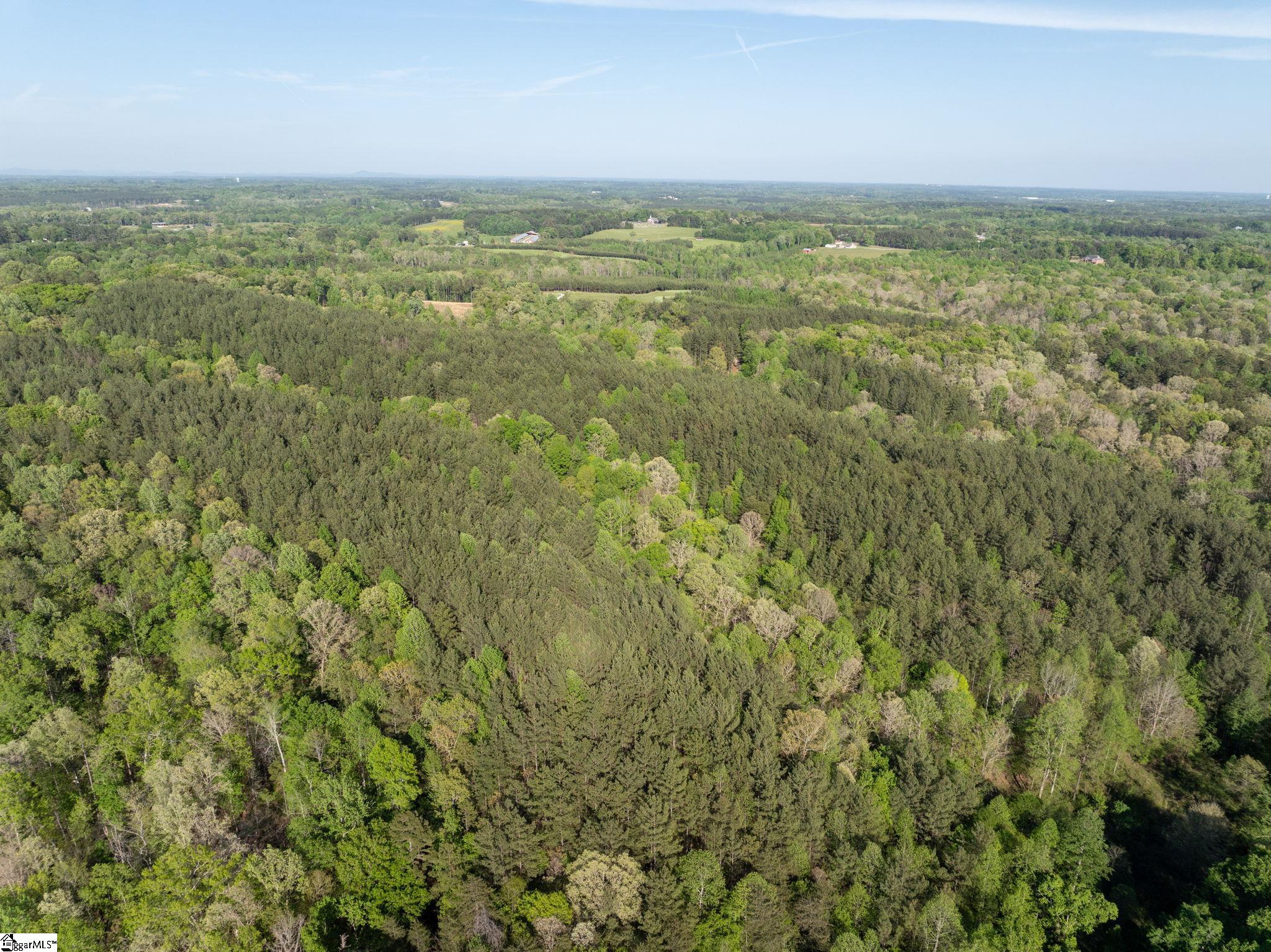 1254 Stribling Shoals Road Property Photo 17