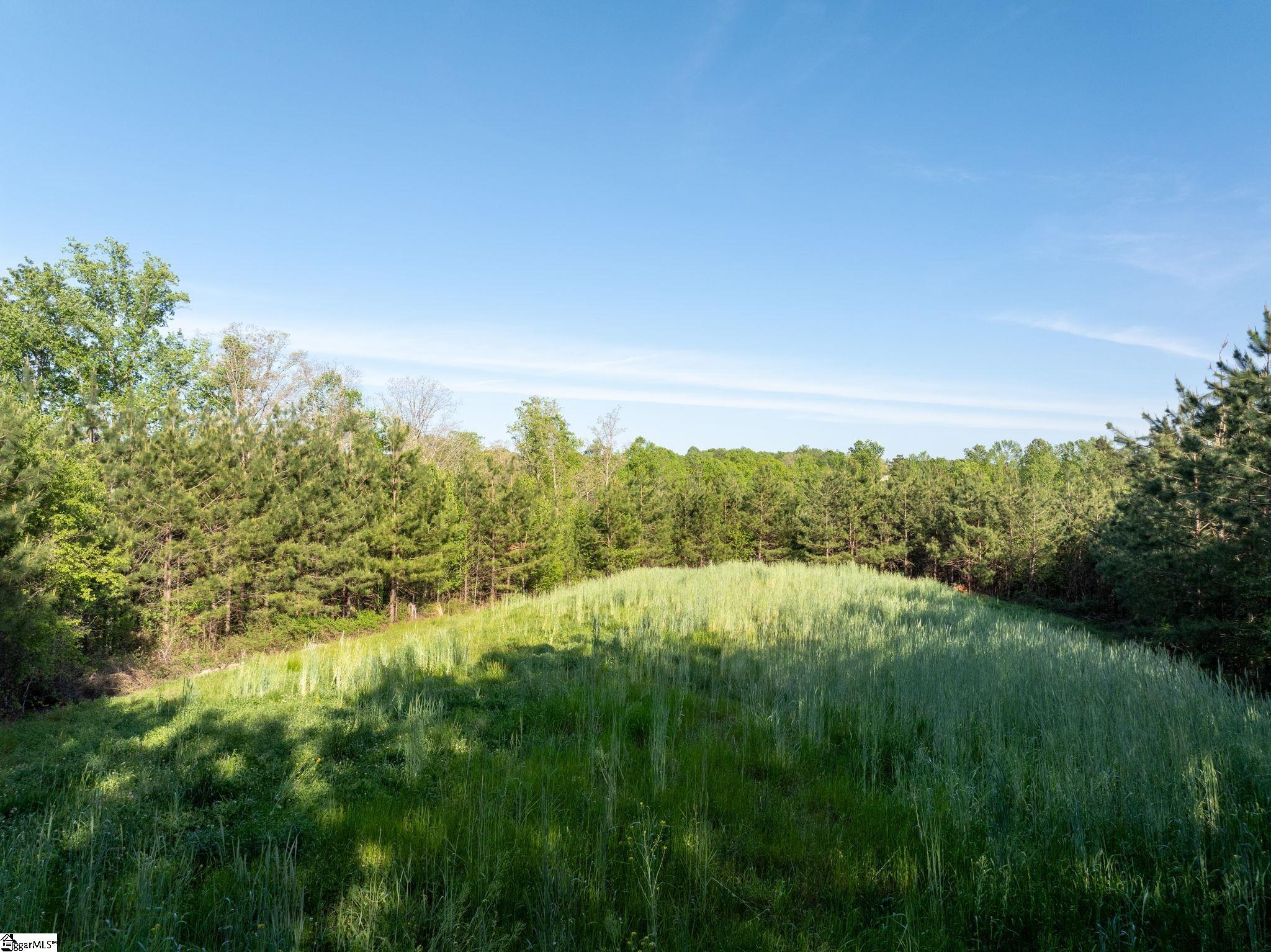1254 Stribling Shoals Road Property Photo 20