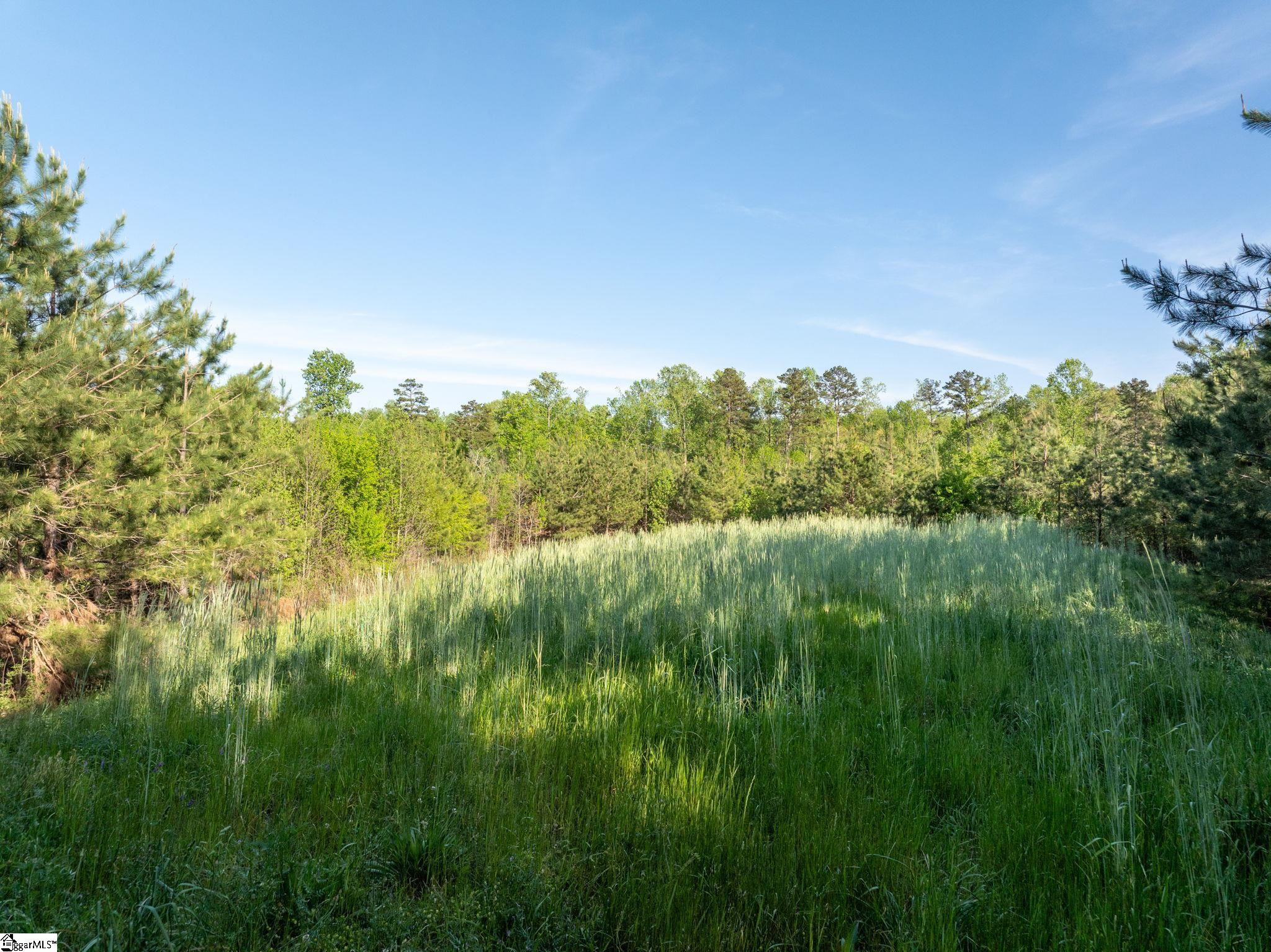 1254 Stribling Shoals Road Property Photo 21
