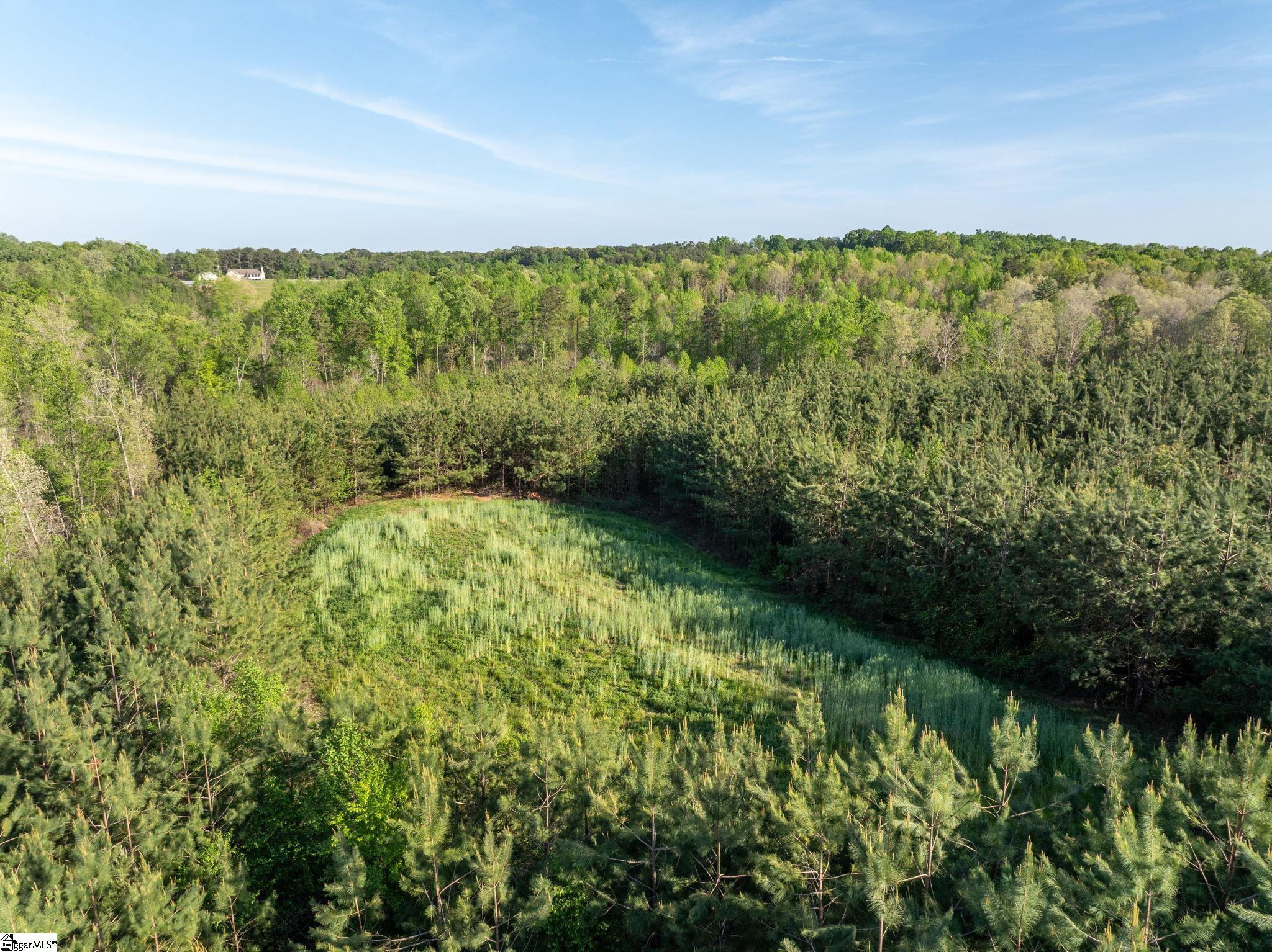 1254 Stribling Shoals Road Property Photo 22