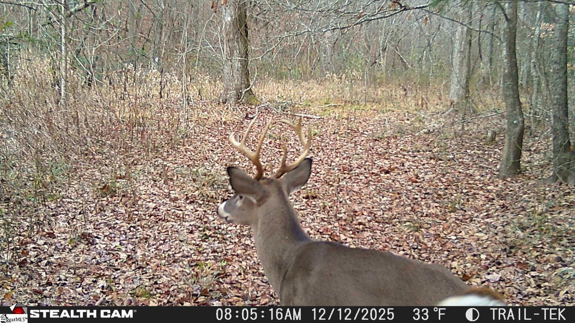 1254 Stribling Shoals Road Property Photo 24