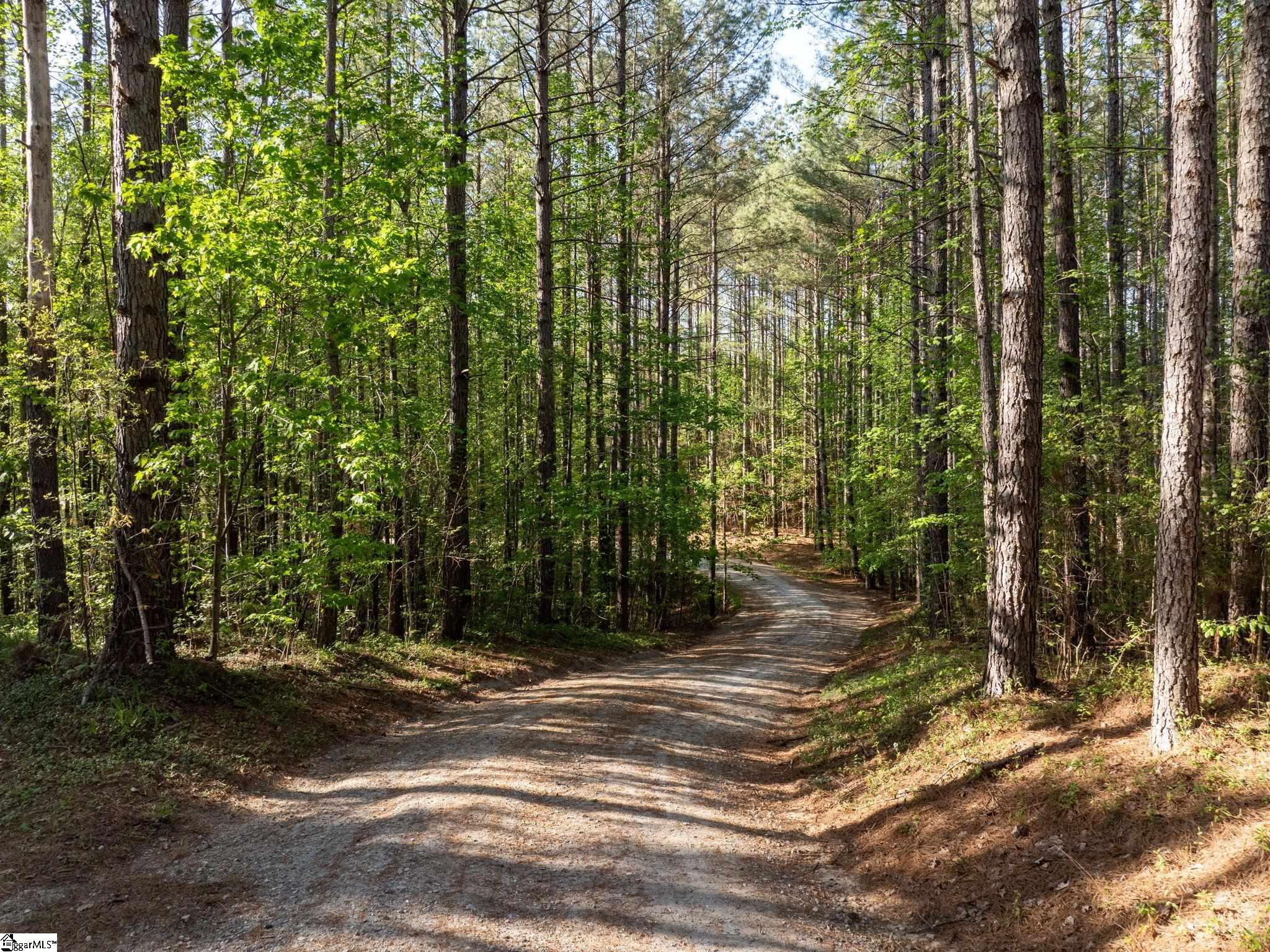 1254 Stribling Shoals Road Property Photo 32