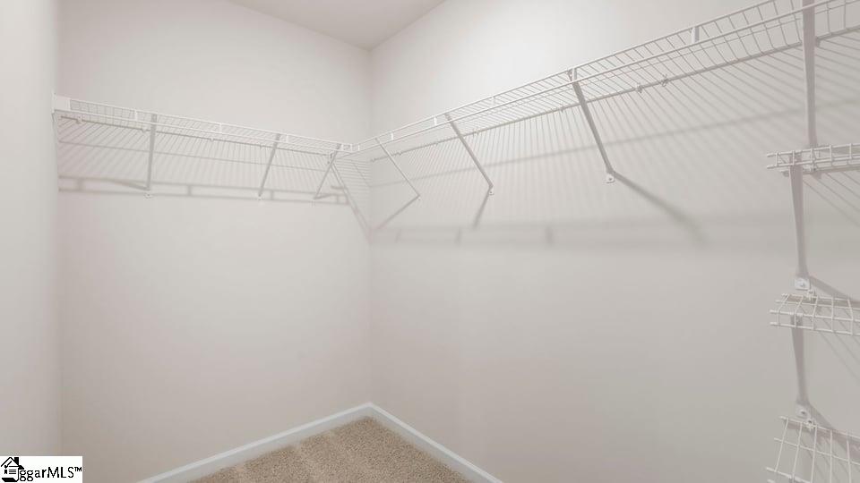 168 Cranford Road Property Photo 32
