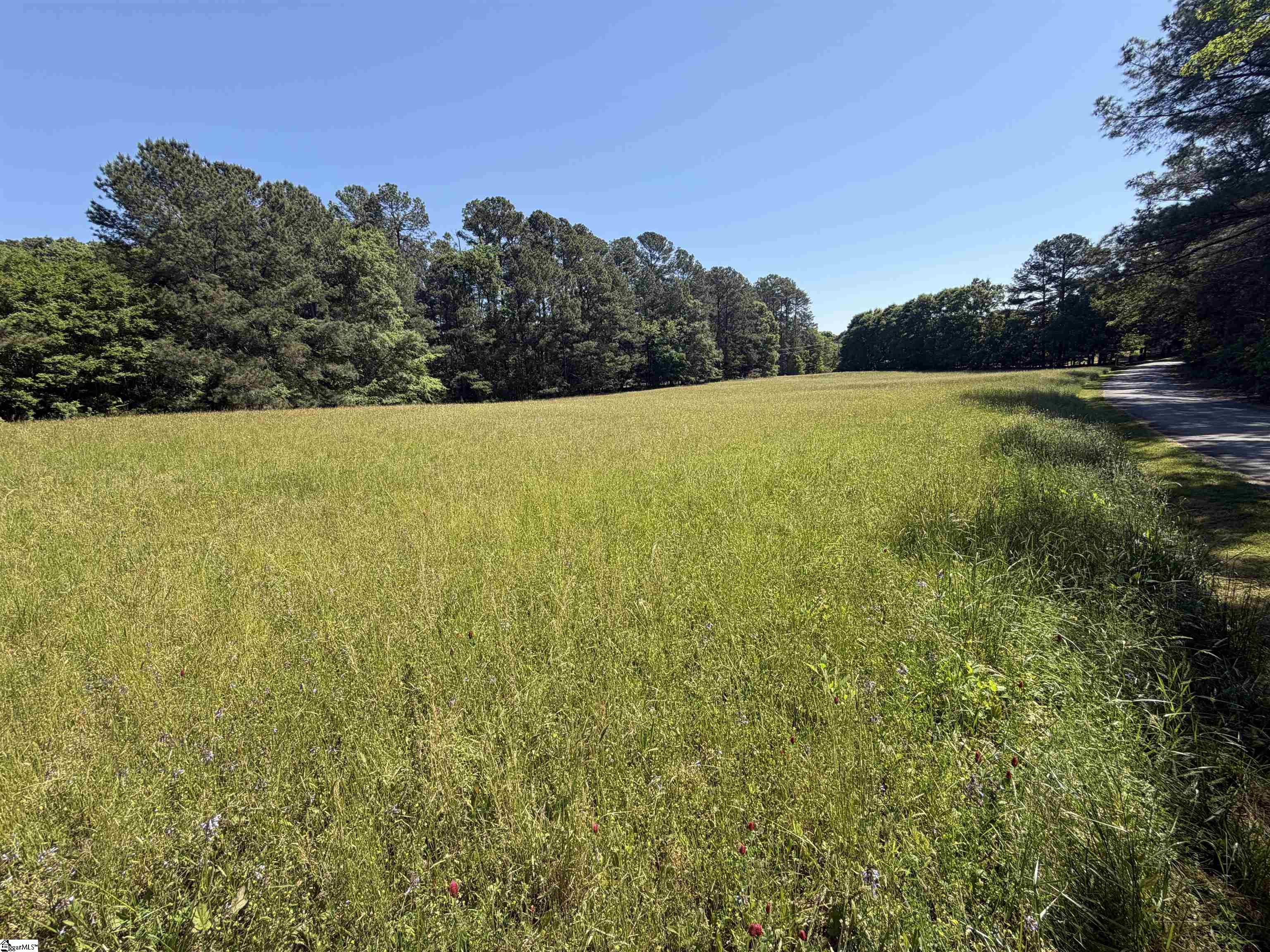 155 Franklin Road Property Photo 6