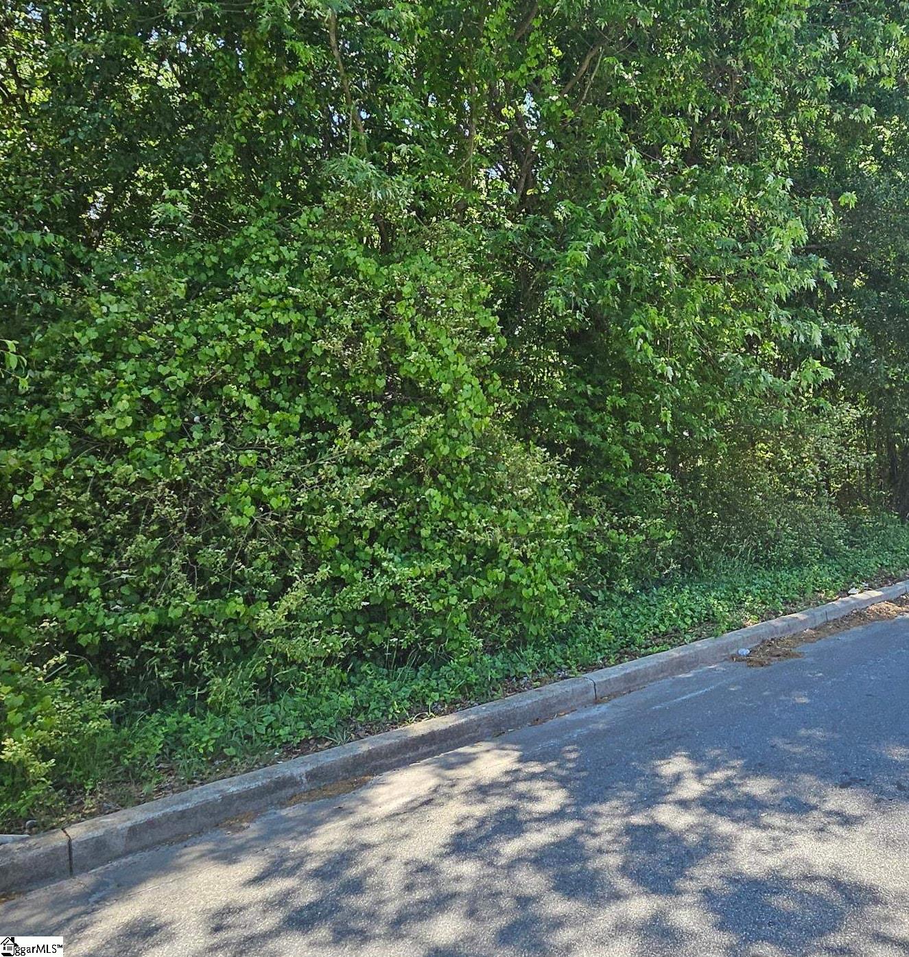 7411 Burdine Drive Property Photo 4